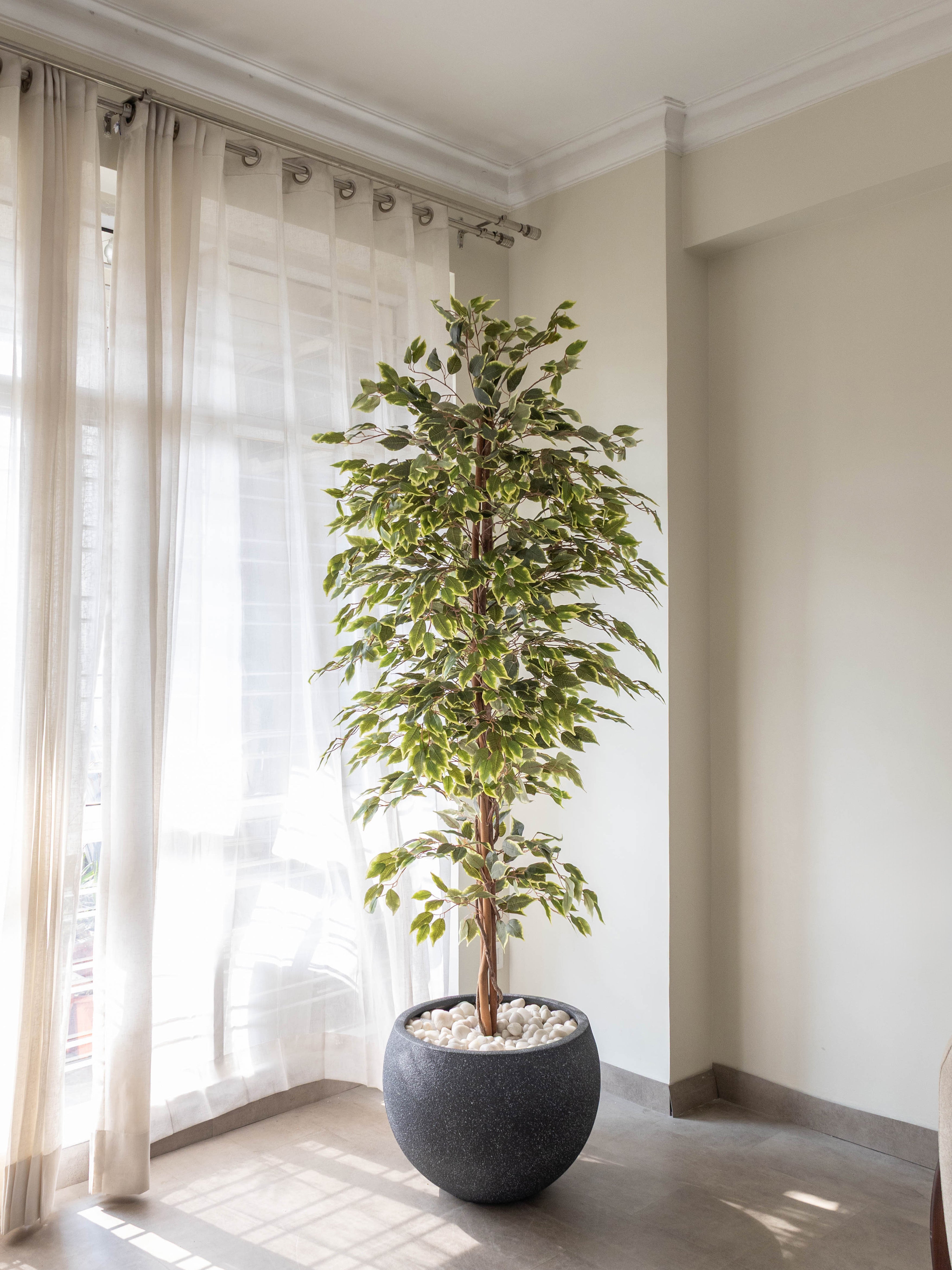 Artificial Variegated Ficus Tree 7ft