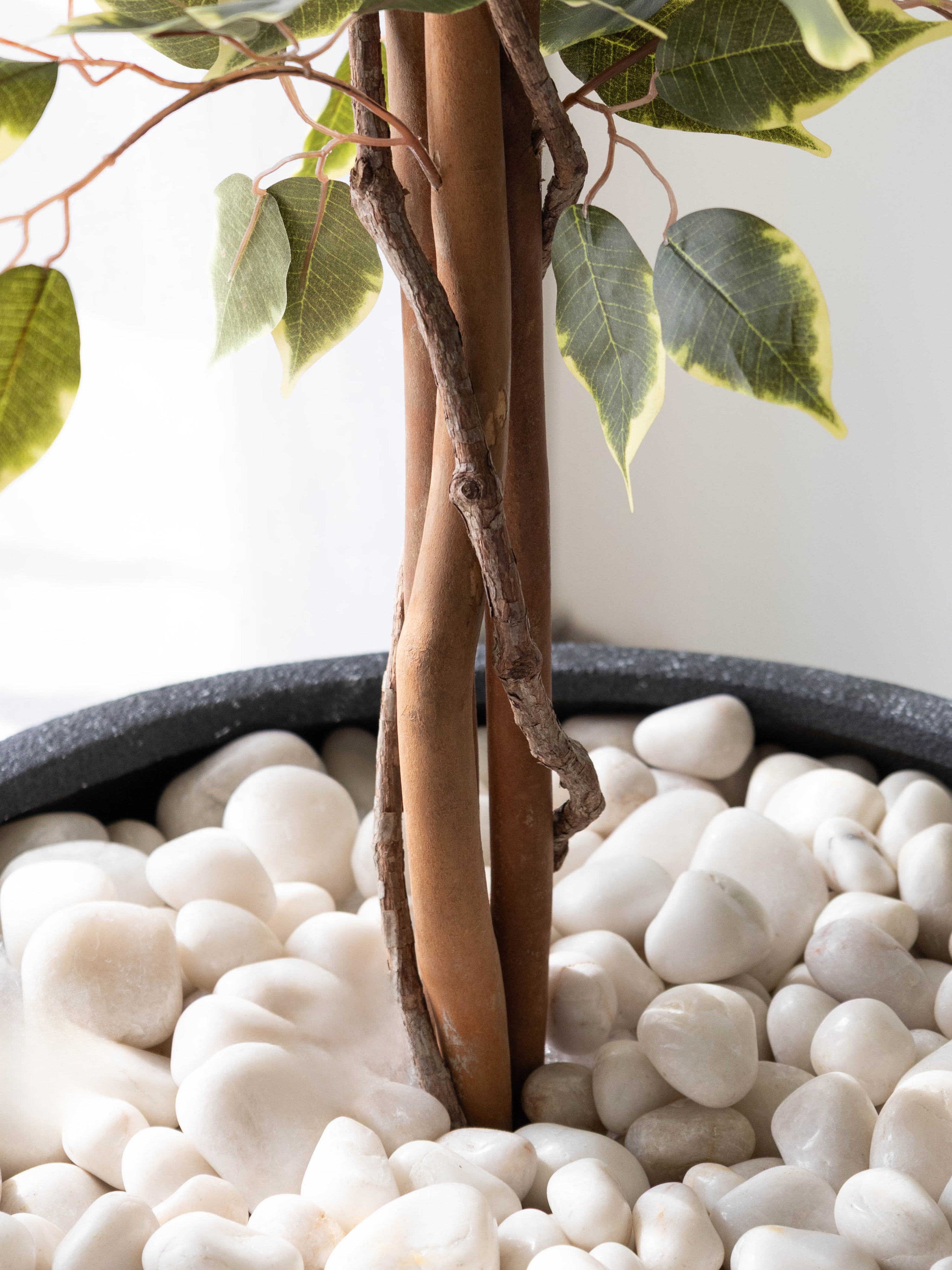 Artificial Variegated Ficus Tree 7ft