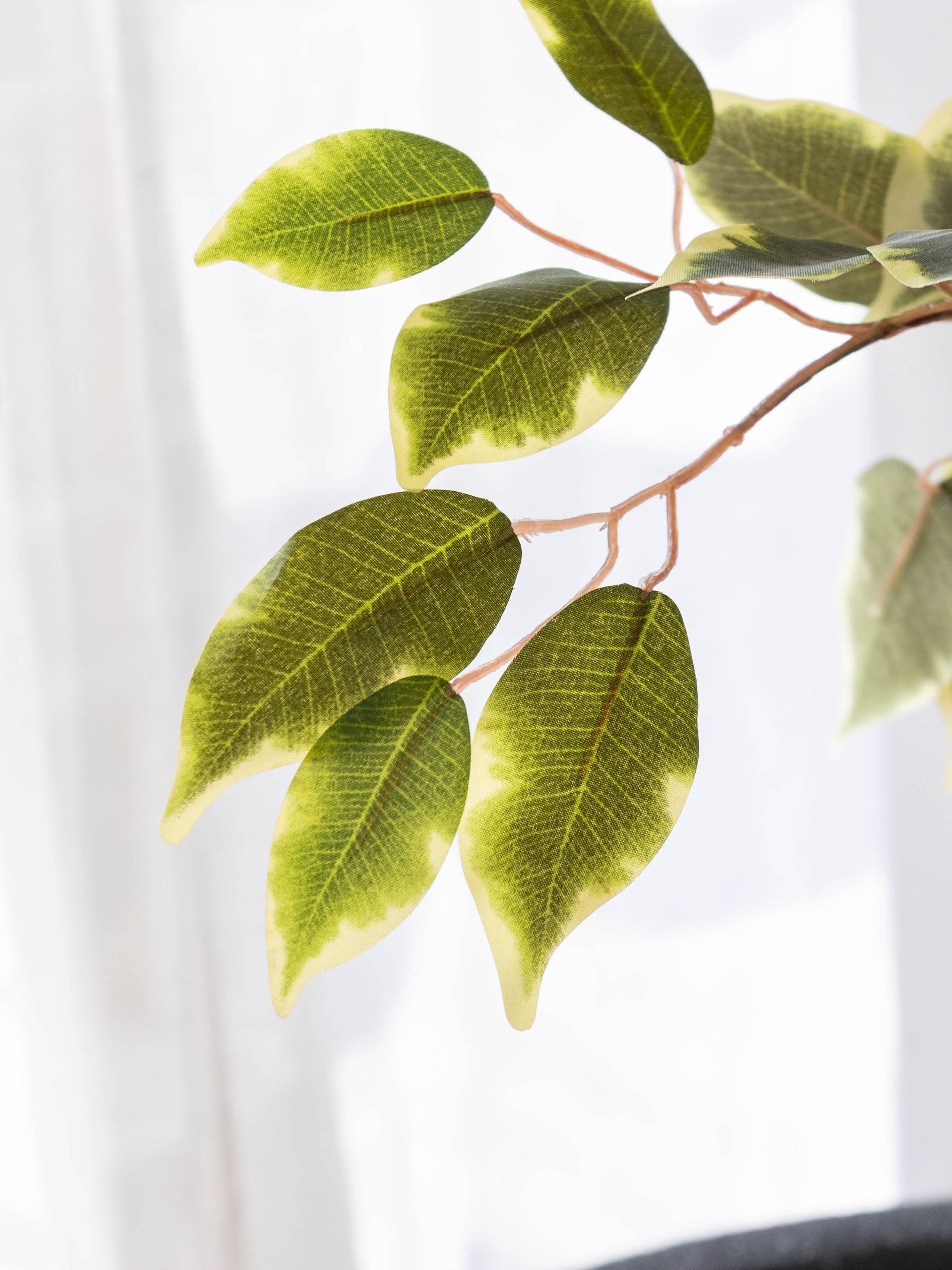 Artificial Variegated Ficus Tree 7ft