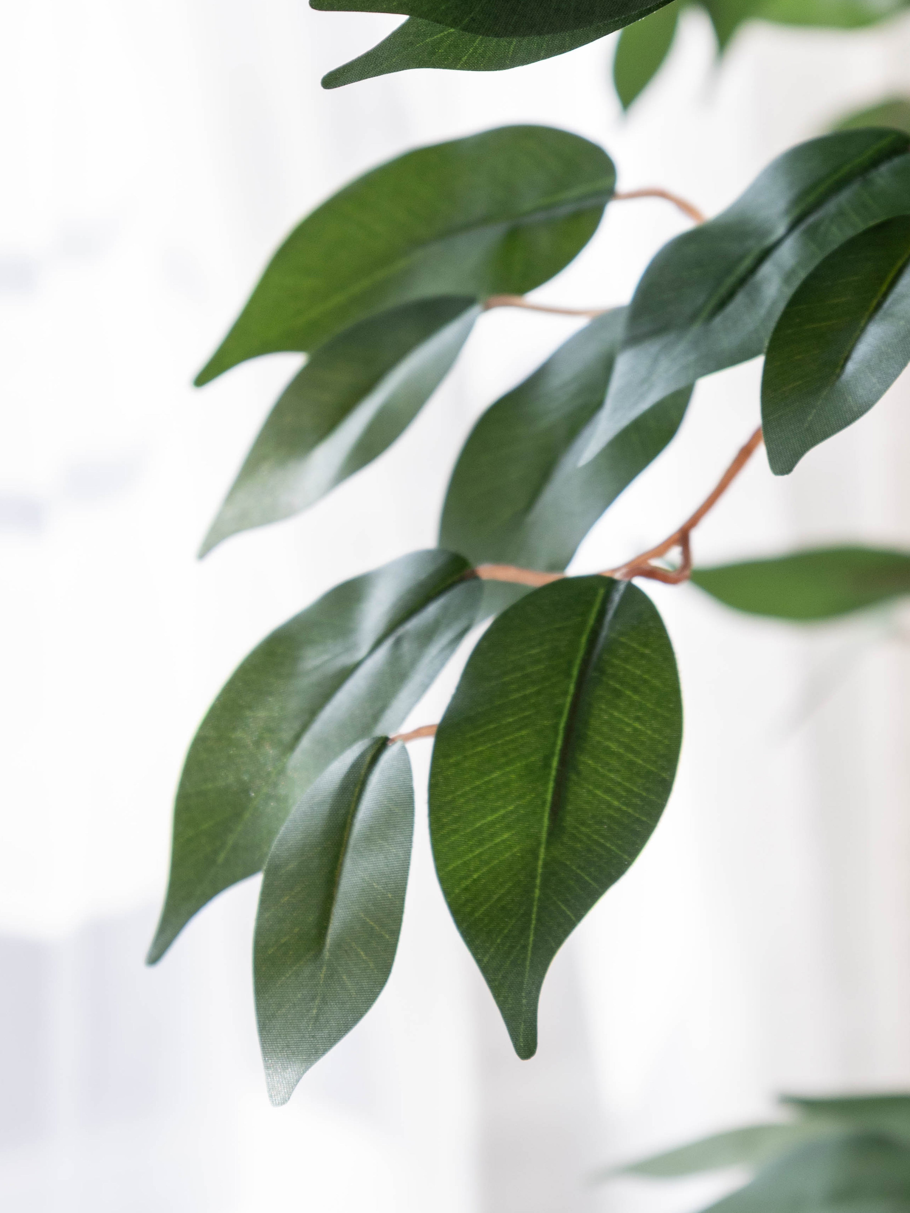 Artificial Ficus Benjamina Tree 7ft