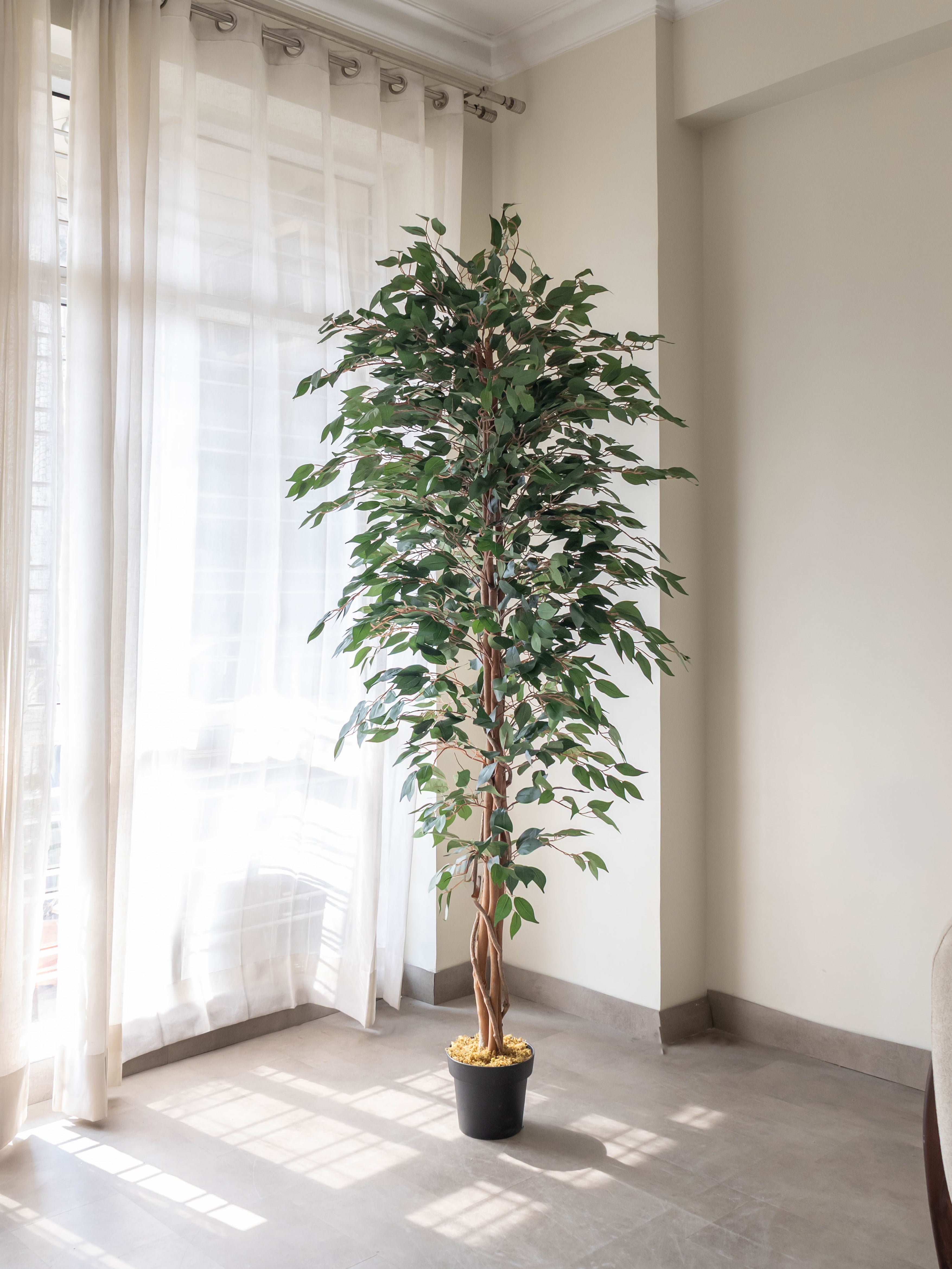 Artificial Ficus Benjamina Tree 7ft