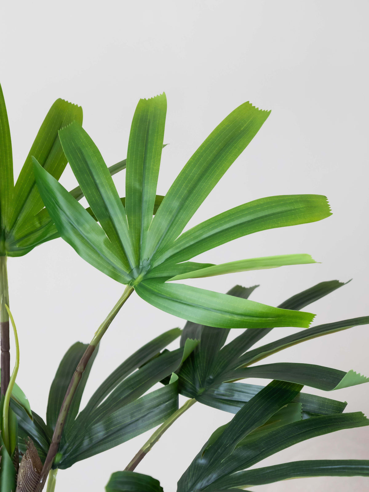 Artificial Rhapis Palm 2.5ft