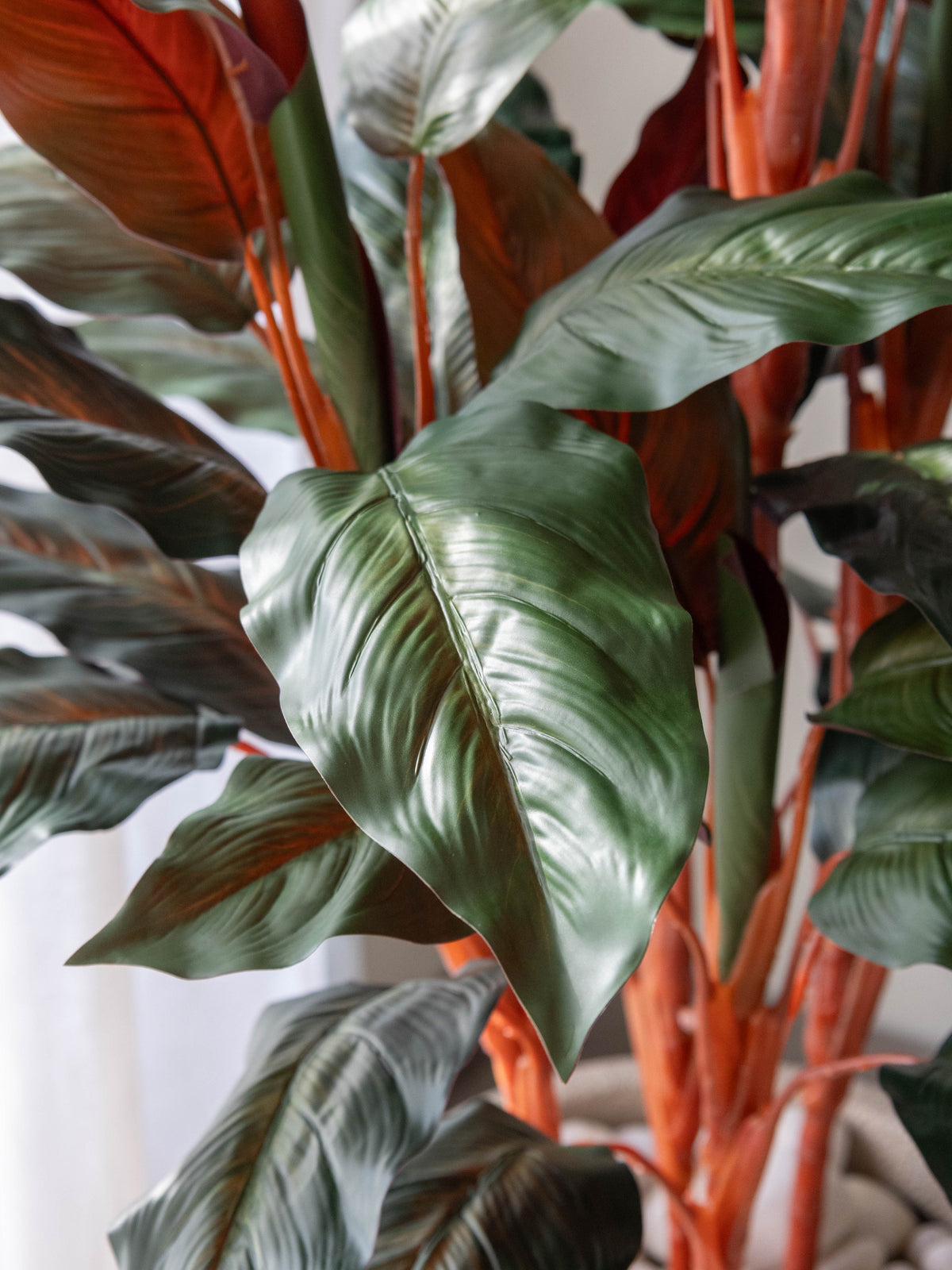 Artificial Calathea Plant 4.3ft