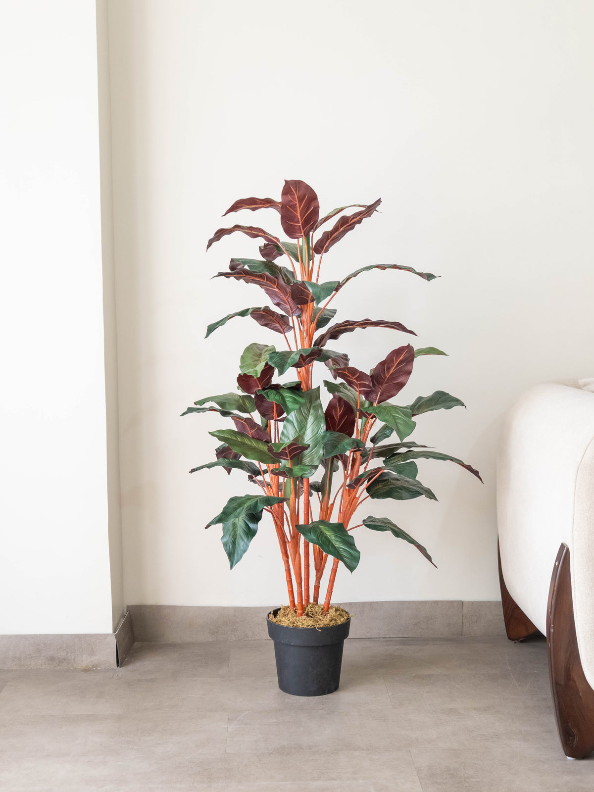Artificial Calathea Plant 4.3ft