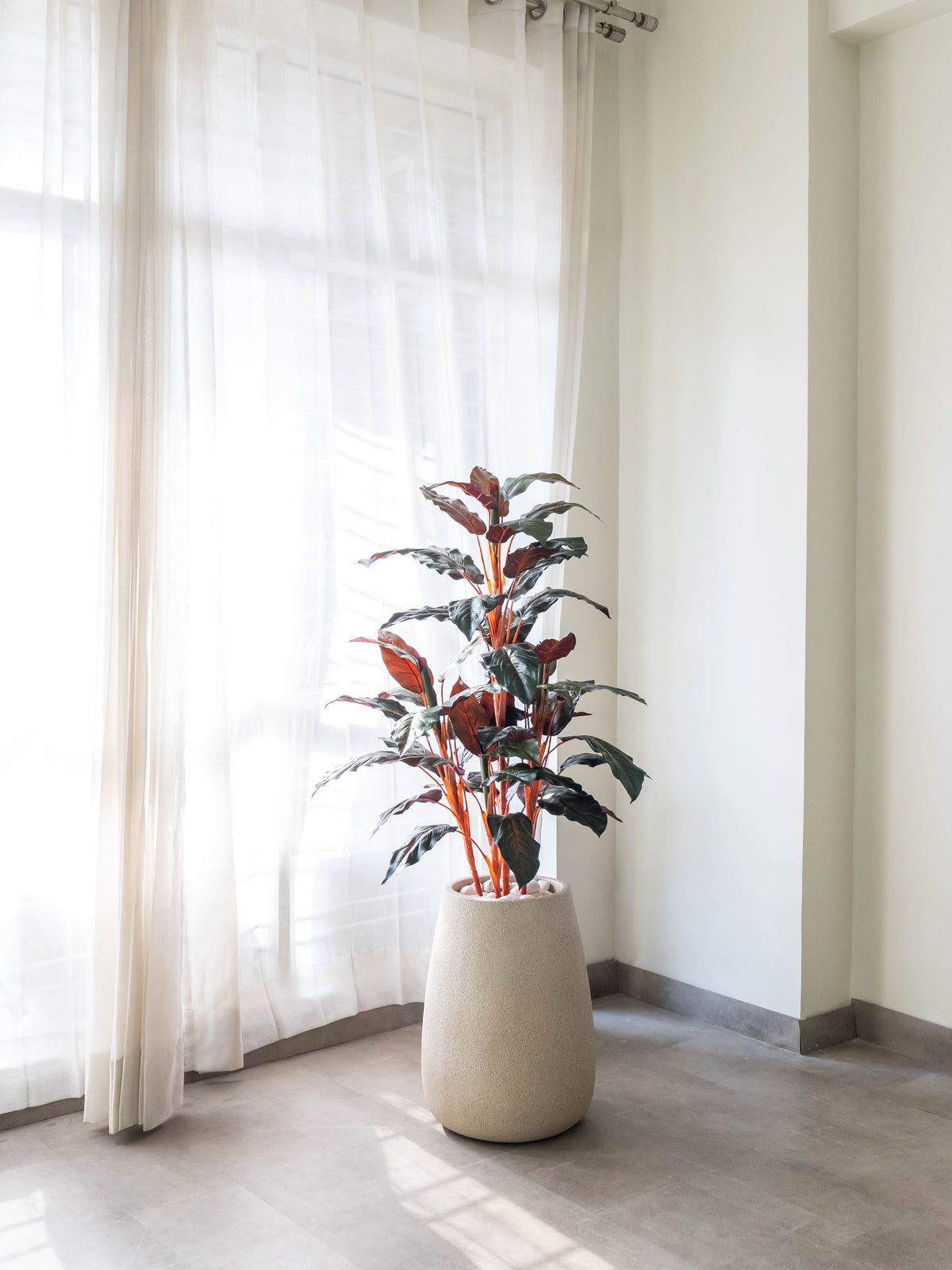 Artificial Calathea Plant 4.3ft