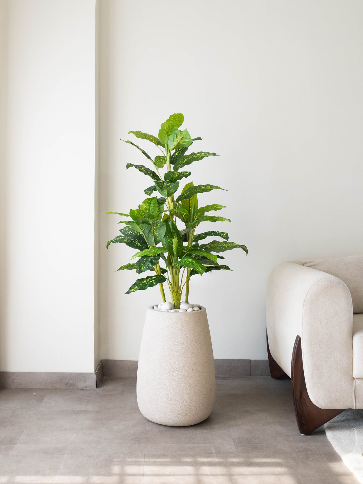 Artificial Dieffenbachia Plant 4.3ft