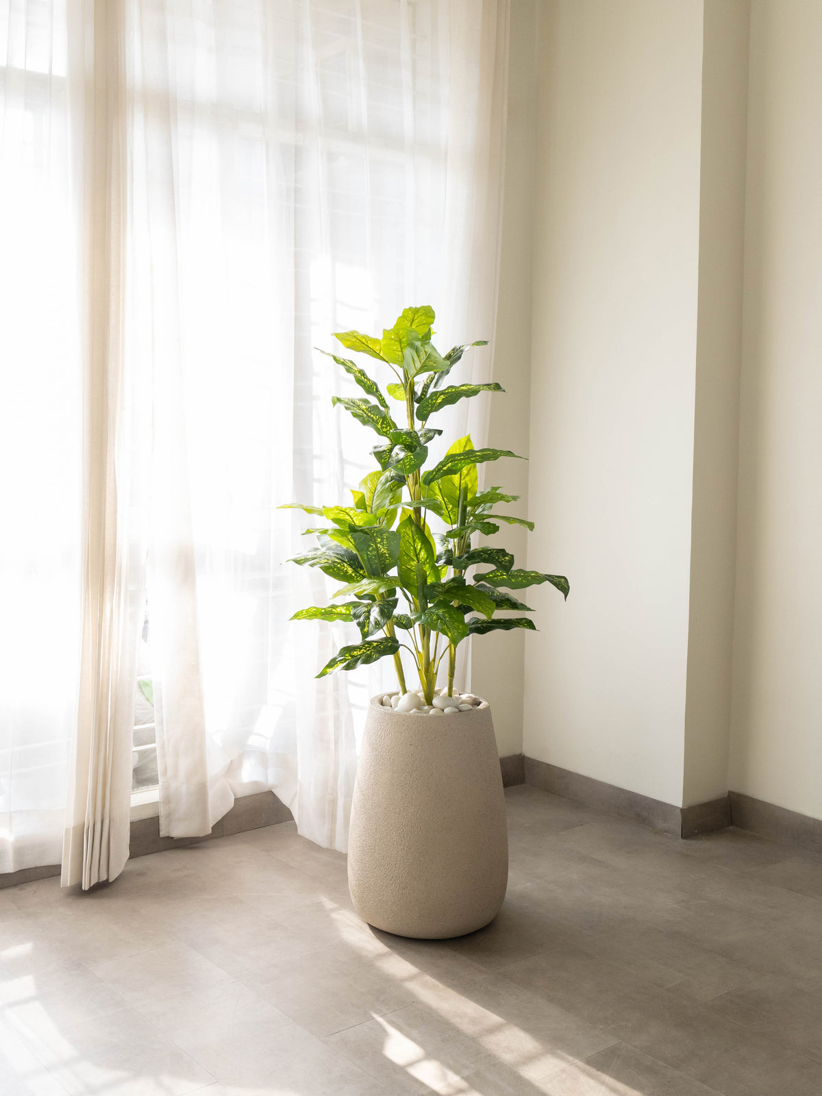 Artificial Dieffenbachia Plant 4.3ft