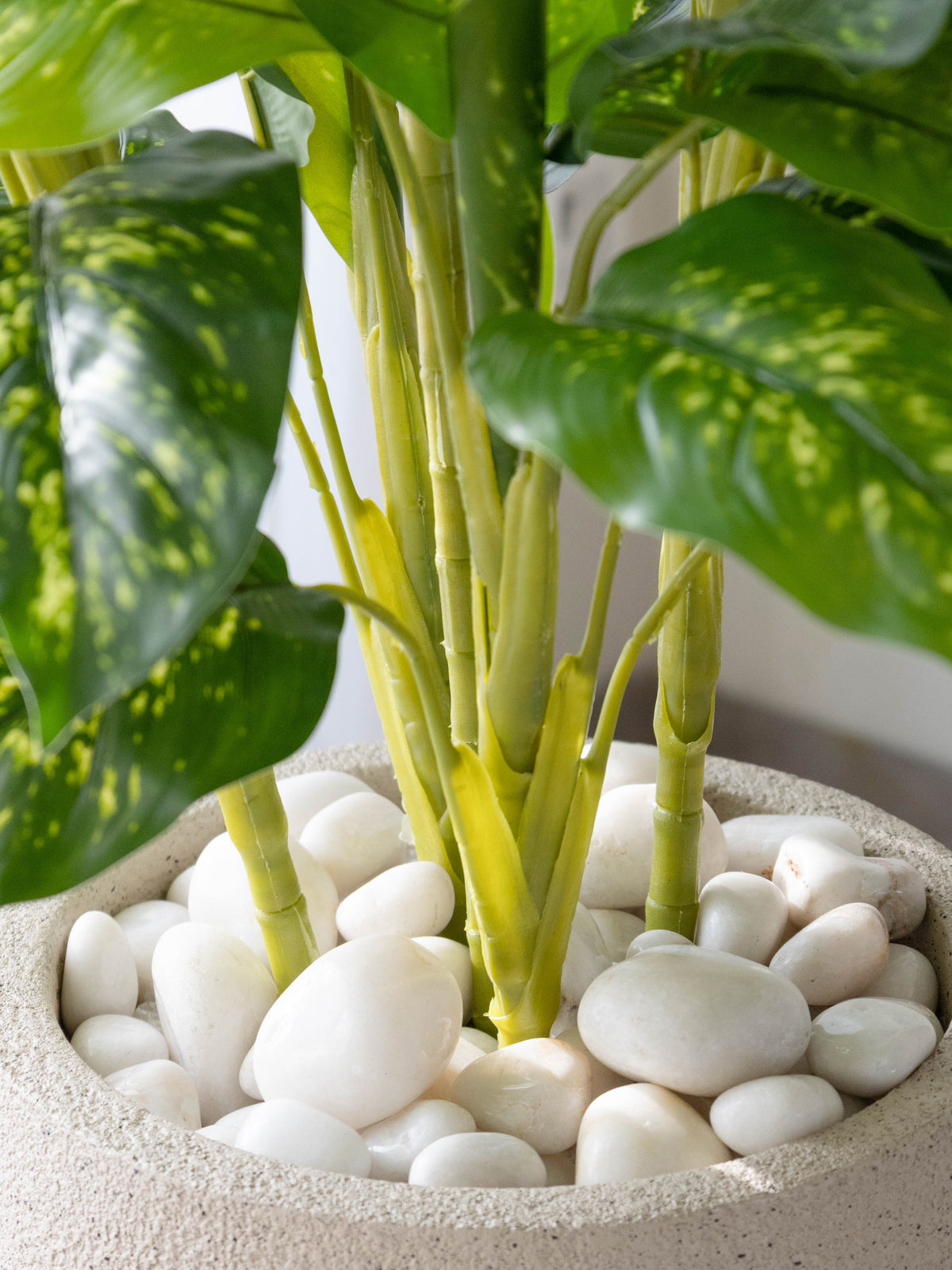Artificial Dieffenbachia Plant 4.3ft