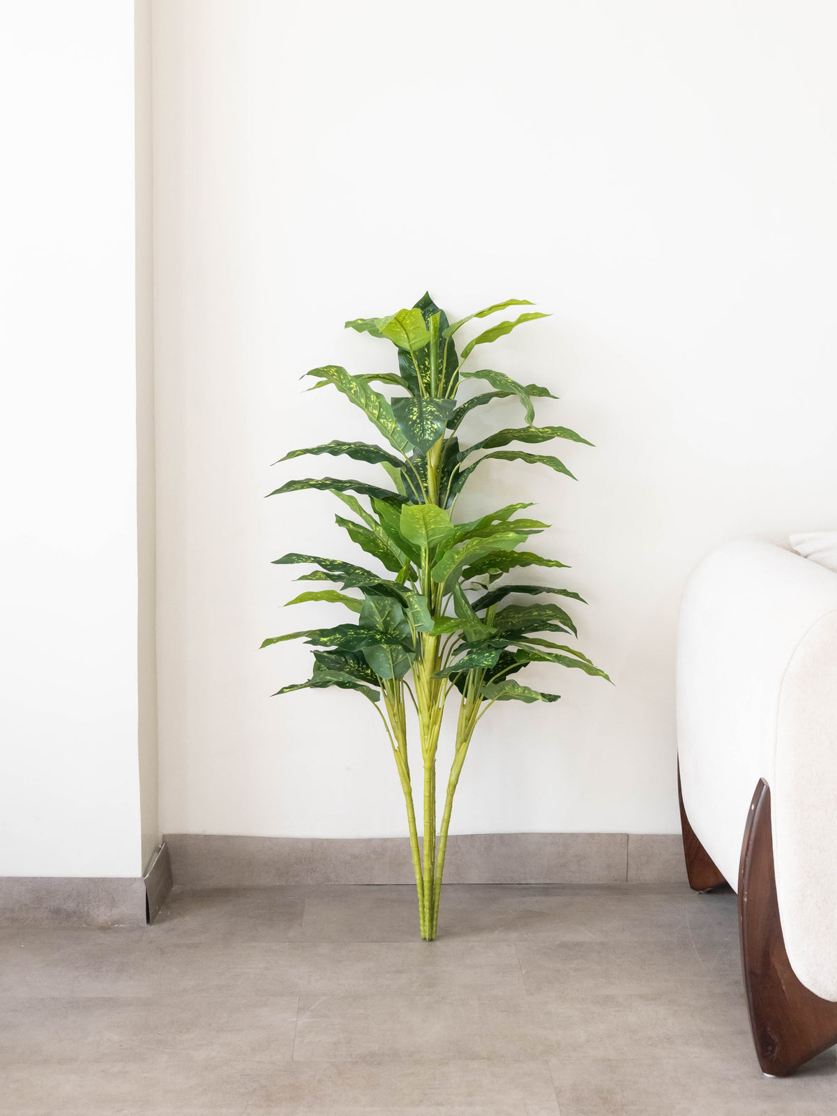 Artificial Dieffenbachia Plant 4.3ft