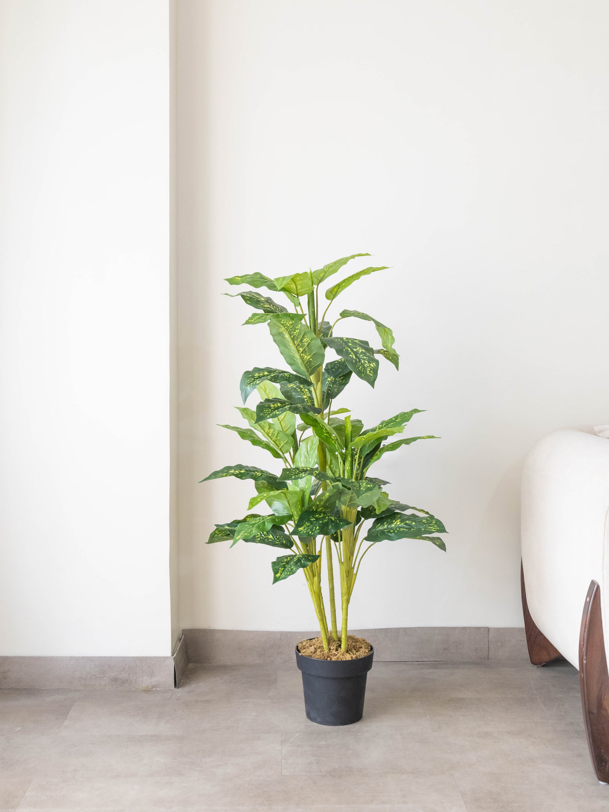 Artificial Dieffenbachia Plant 4.3ft