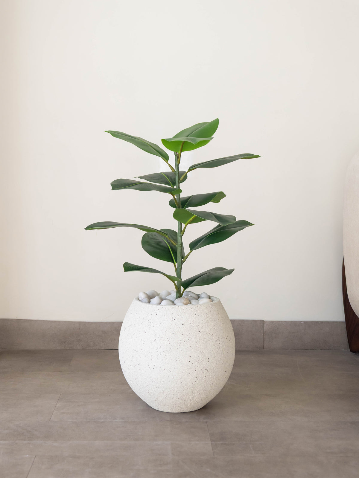 Artificial Vista Rubber Plant 2.2ft