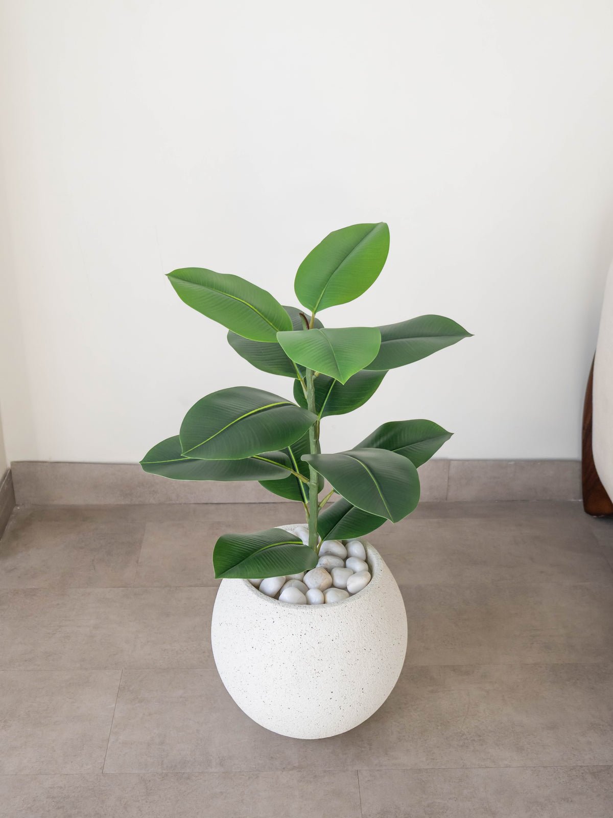Artificial Vista Rubber Plant 2.2ft