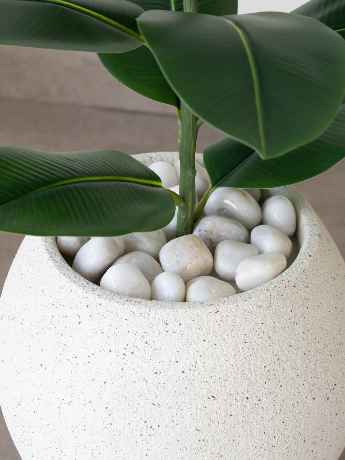 Artificial Vista Rubber Plant 2.2ft
