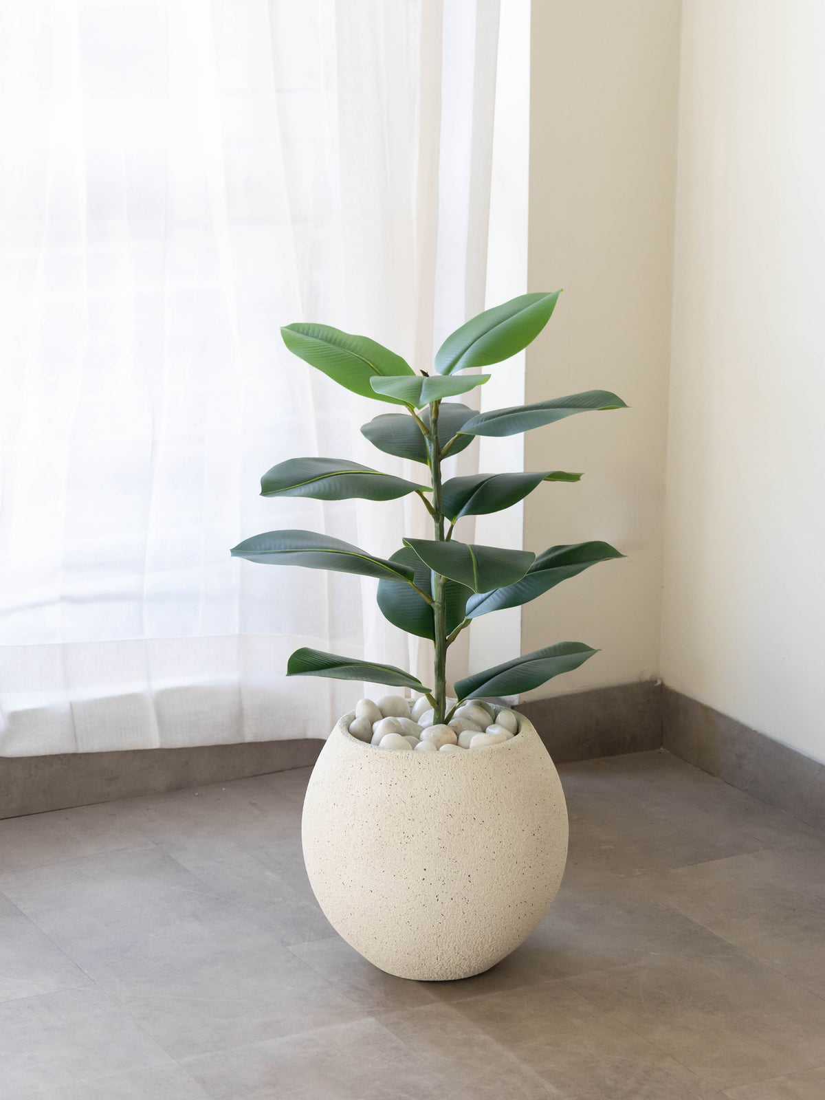 Artificial Vista Rubber Plant 2.2ft