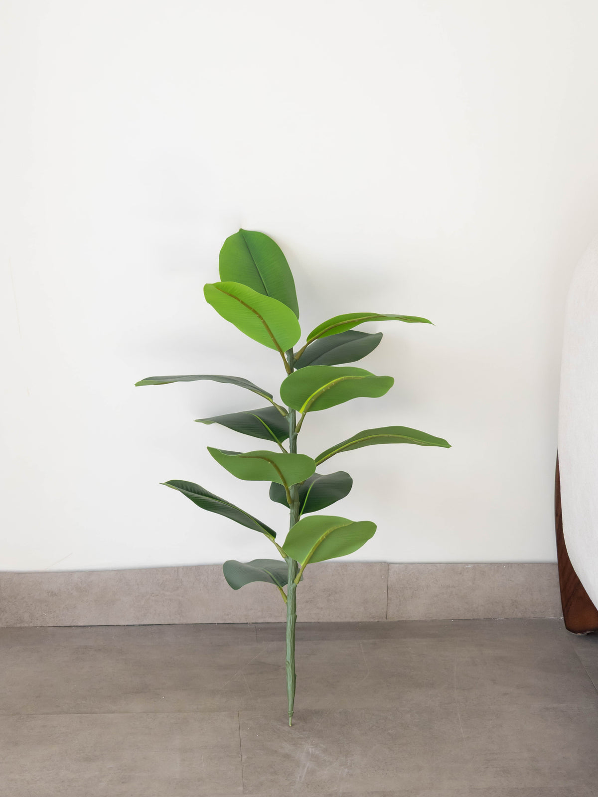 Artificial Vista Rubber Plant 2.2ft