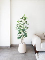 Artificial Variegated Leaf Plant 5ft