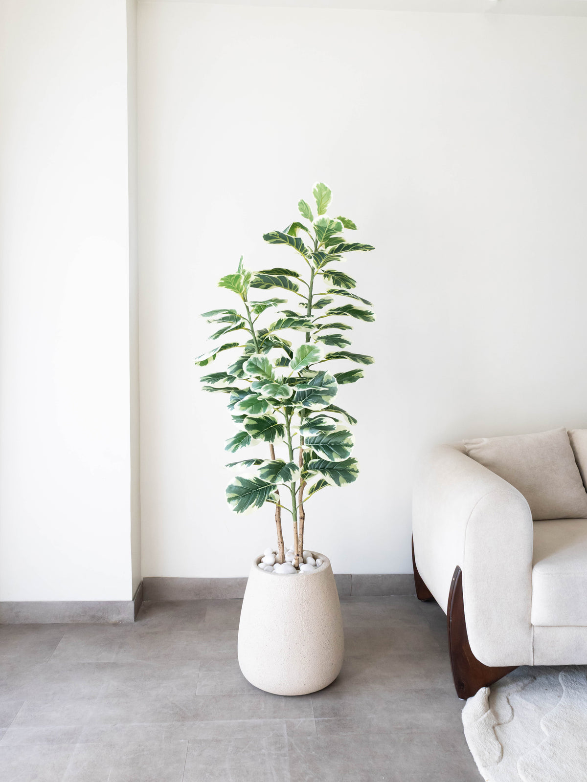 Artificial Variegated Leaf Plant 5ft