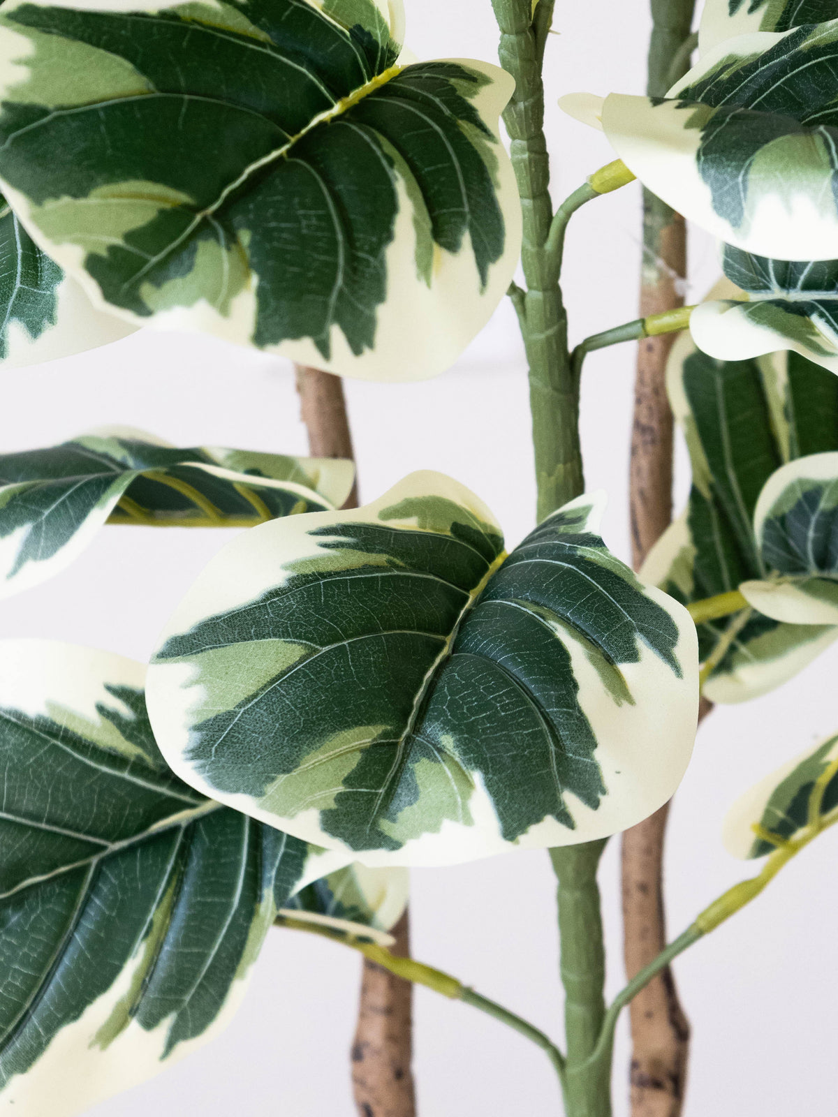 Artificial Variegated Leaf Plant 5ft