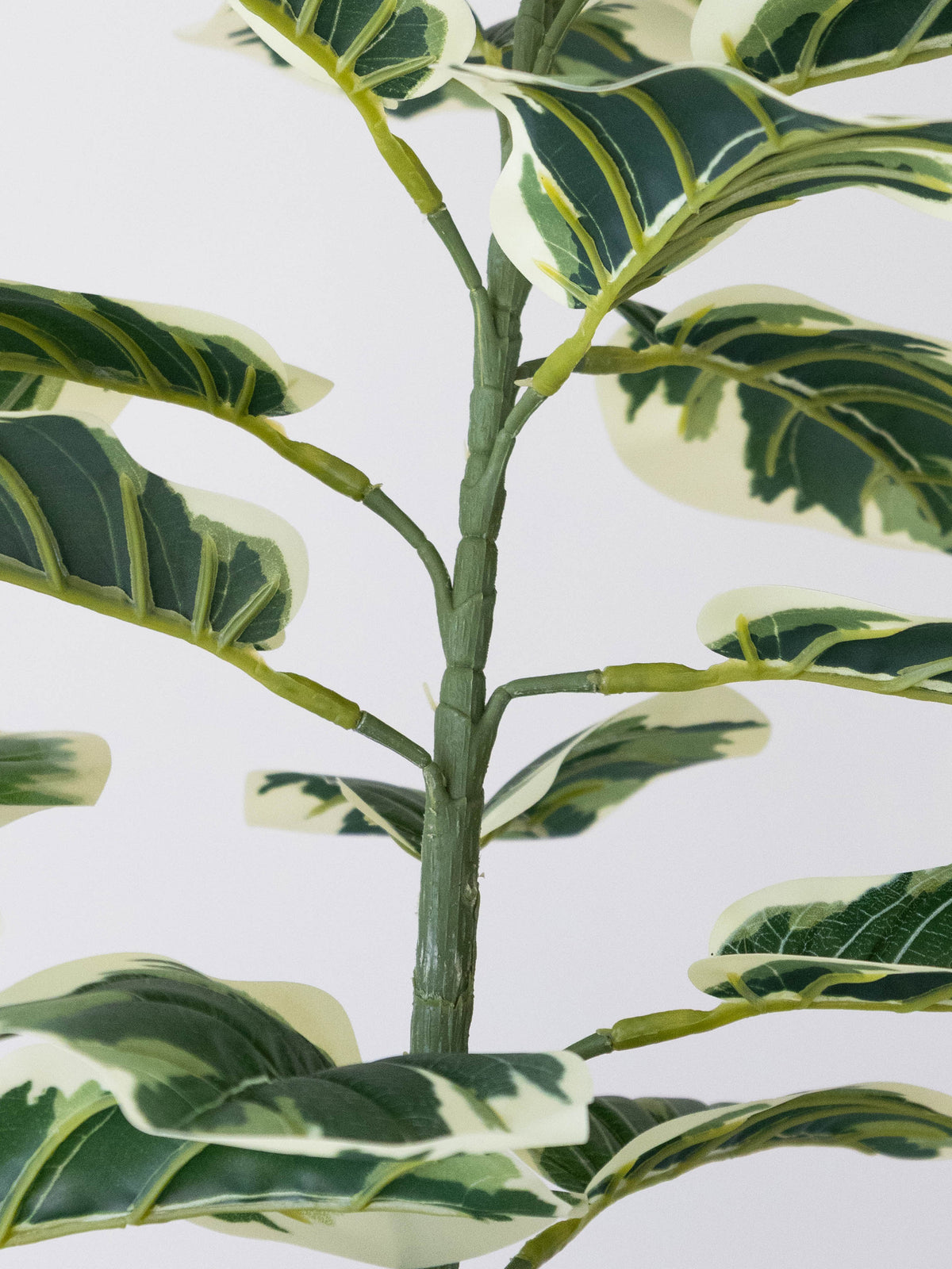 Artificial Variegated Leaf Plant 5ft