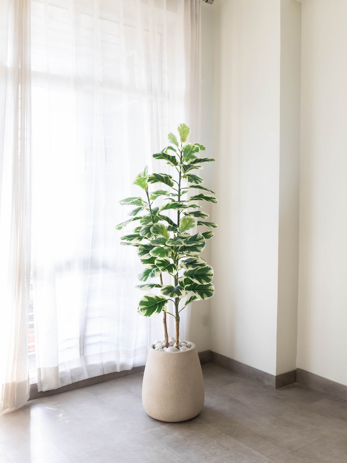 Artificial Variegated Leaf Plant 5ft