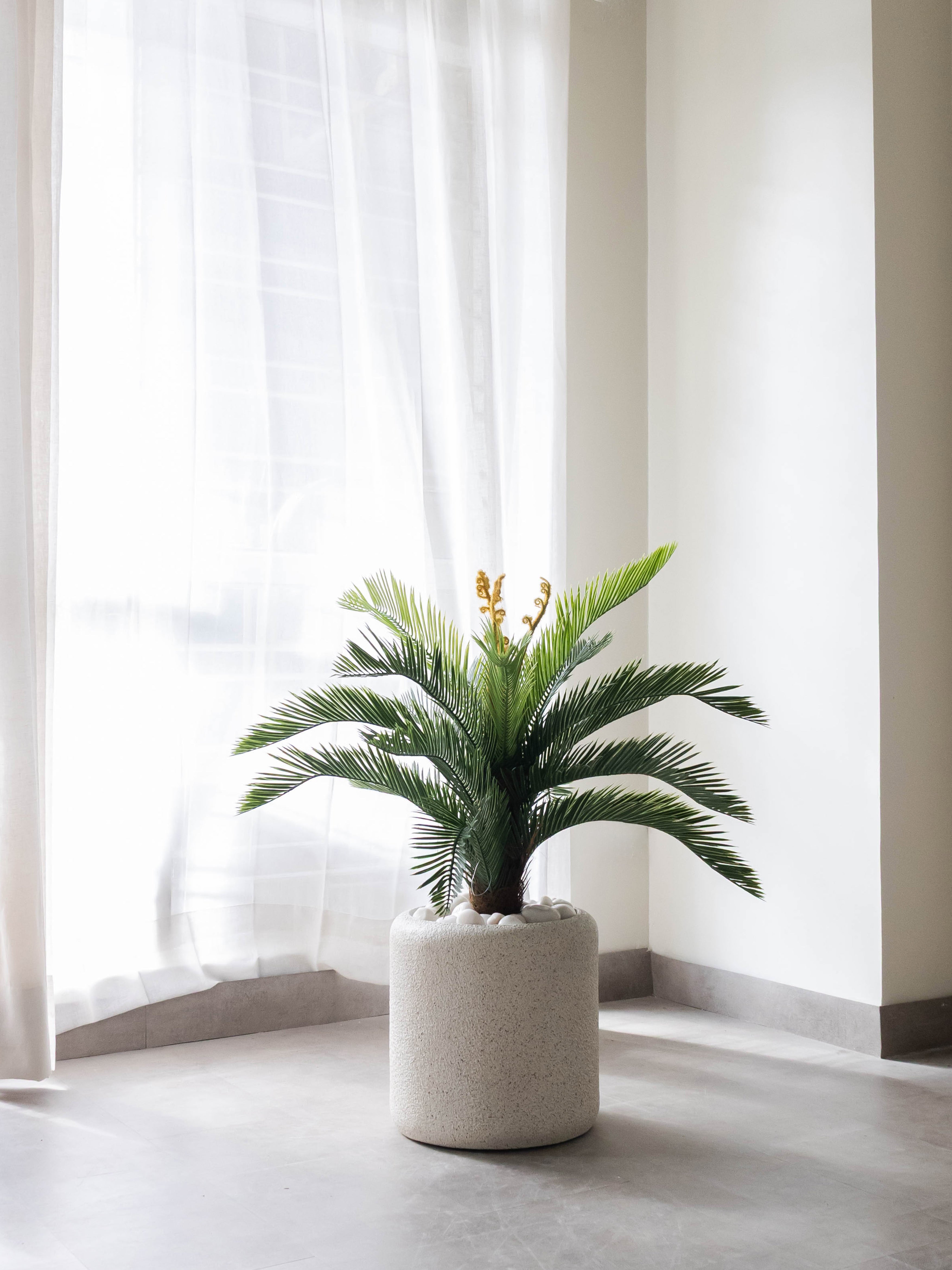 Artificial Cycas Palm Plant 2.5ft