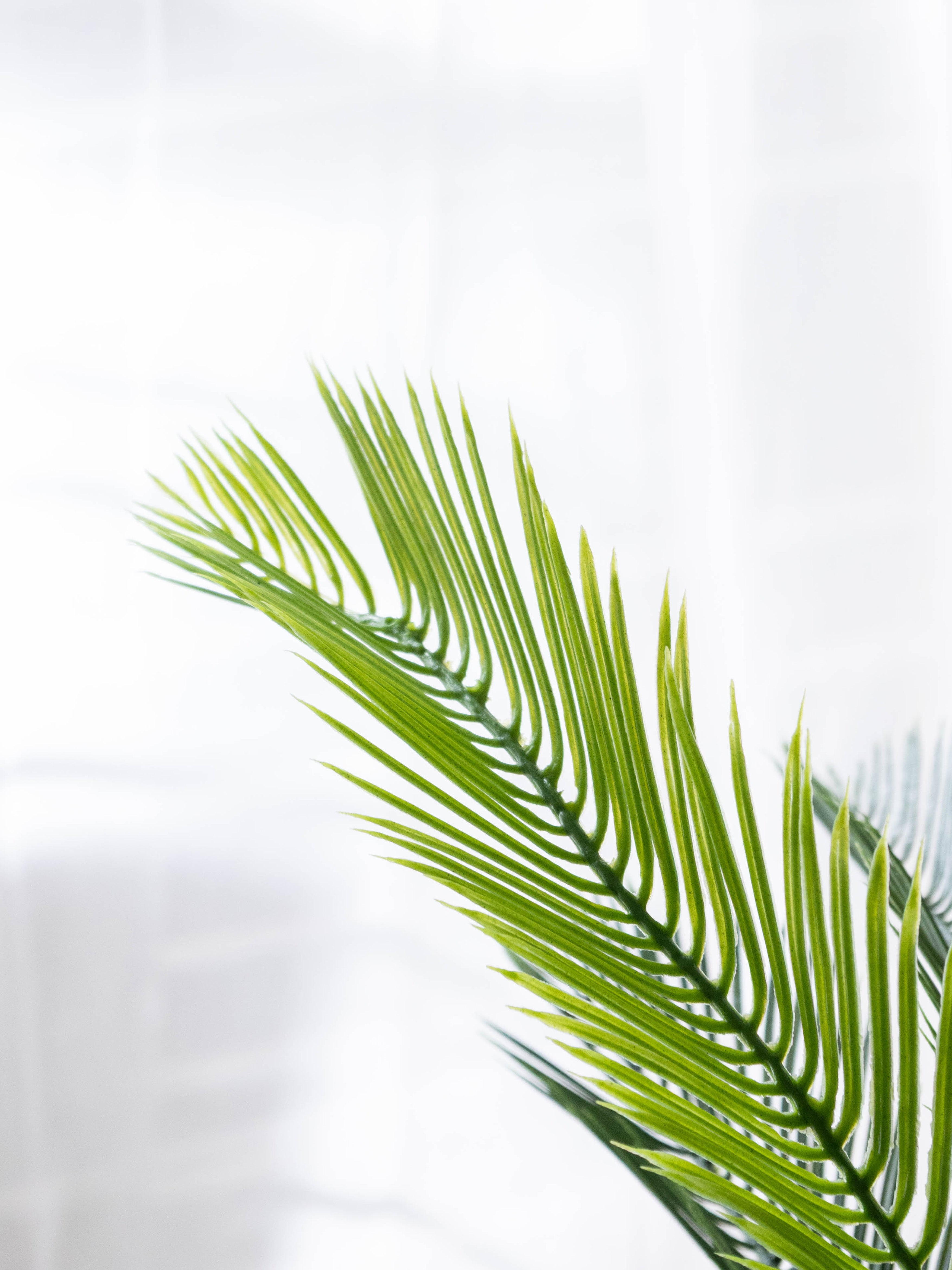 Artificial Cycas Palm Plant 2.5ft