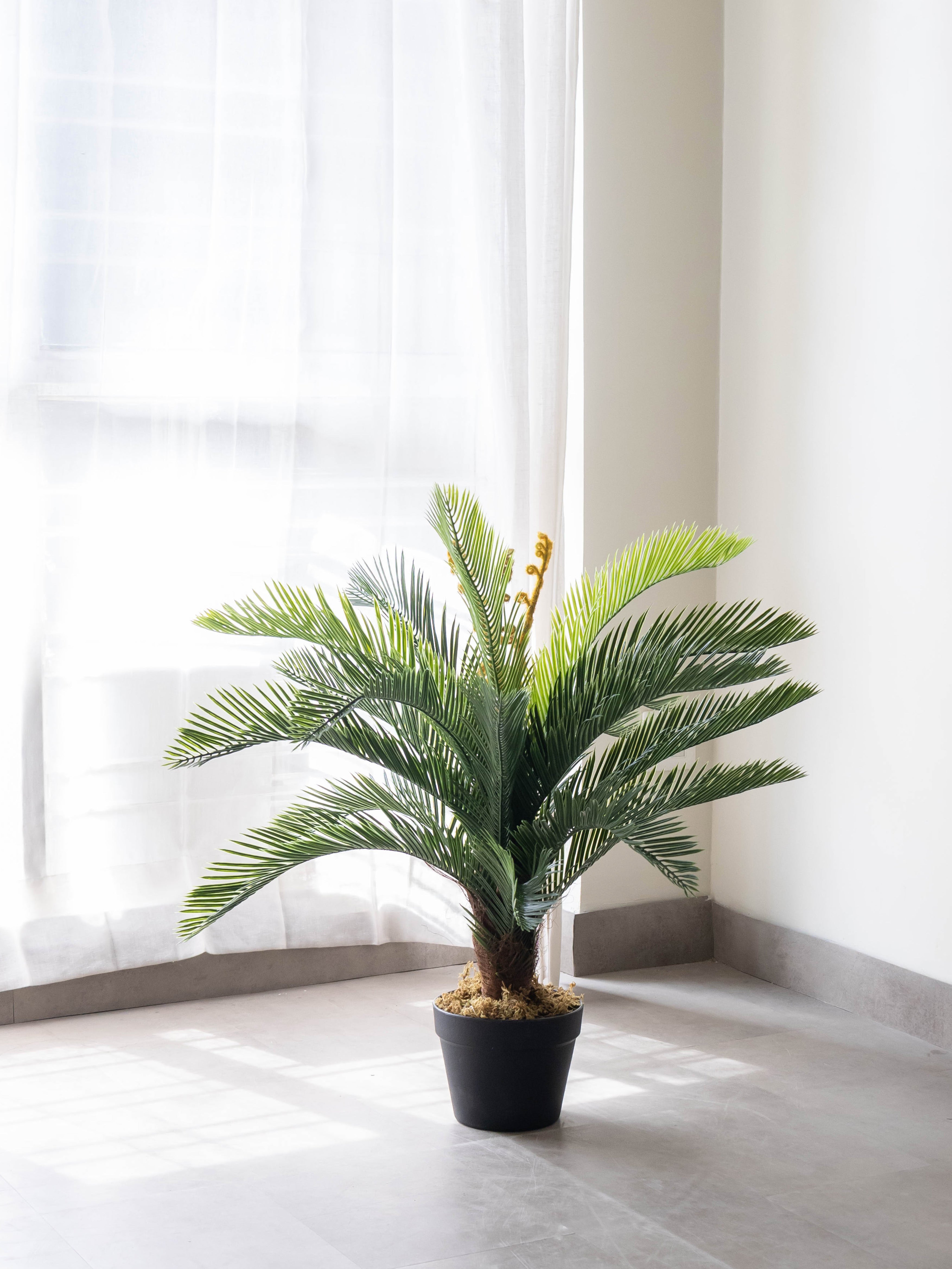 Artificial Cycas Palm Plant 2.5ft