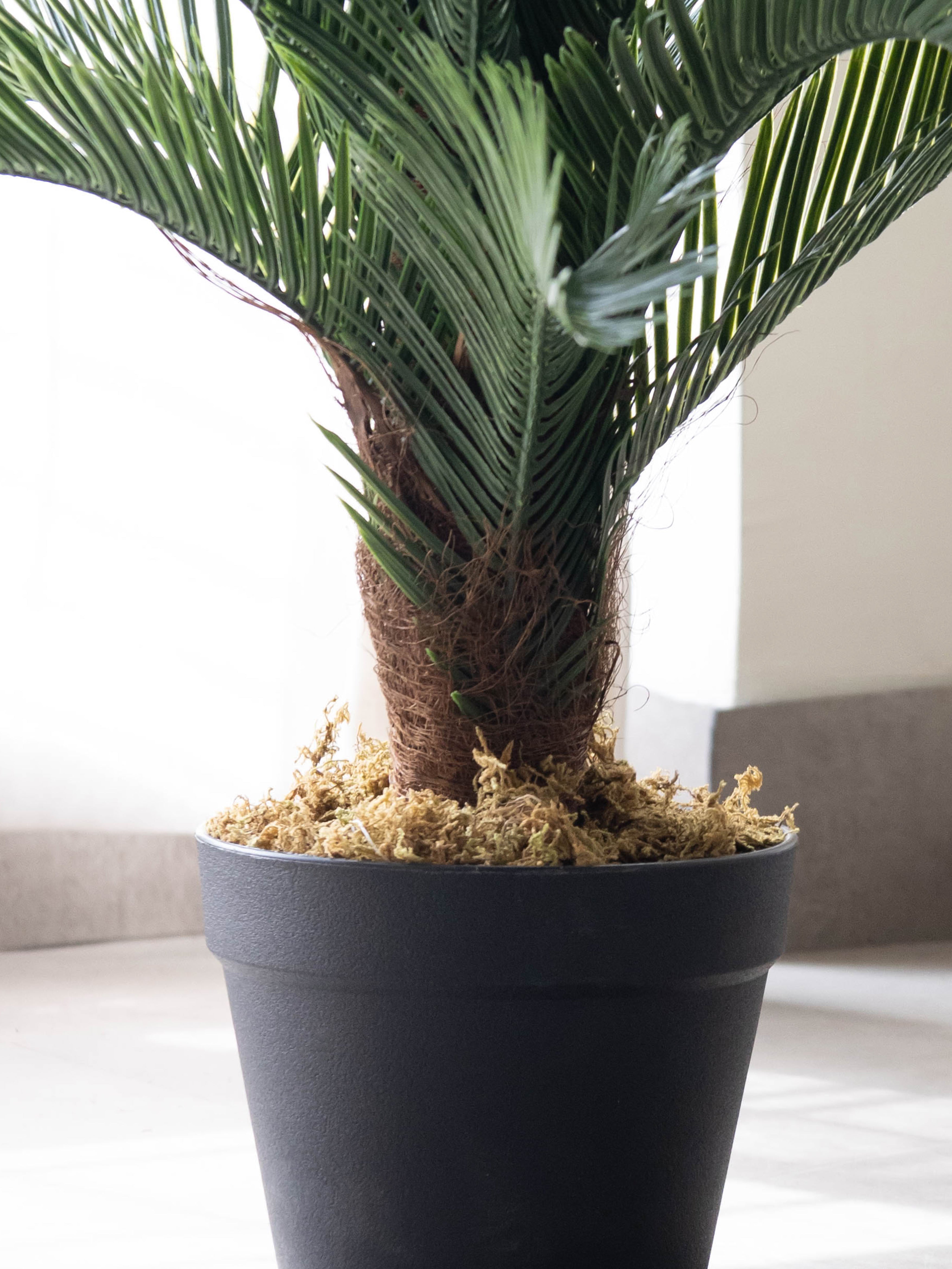 Artificial Cycas Palm Plant 2.5ft