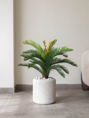 Artificial Cycas Palm Plant 2.5ft