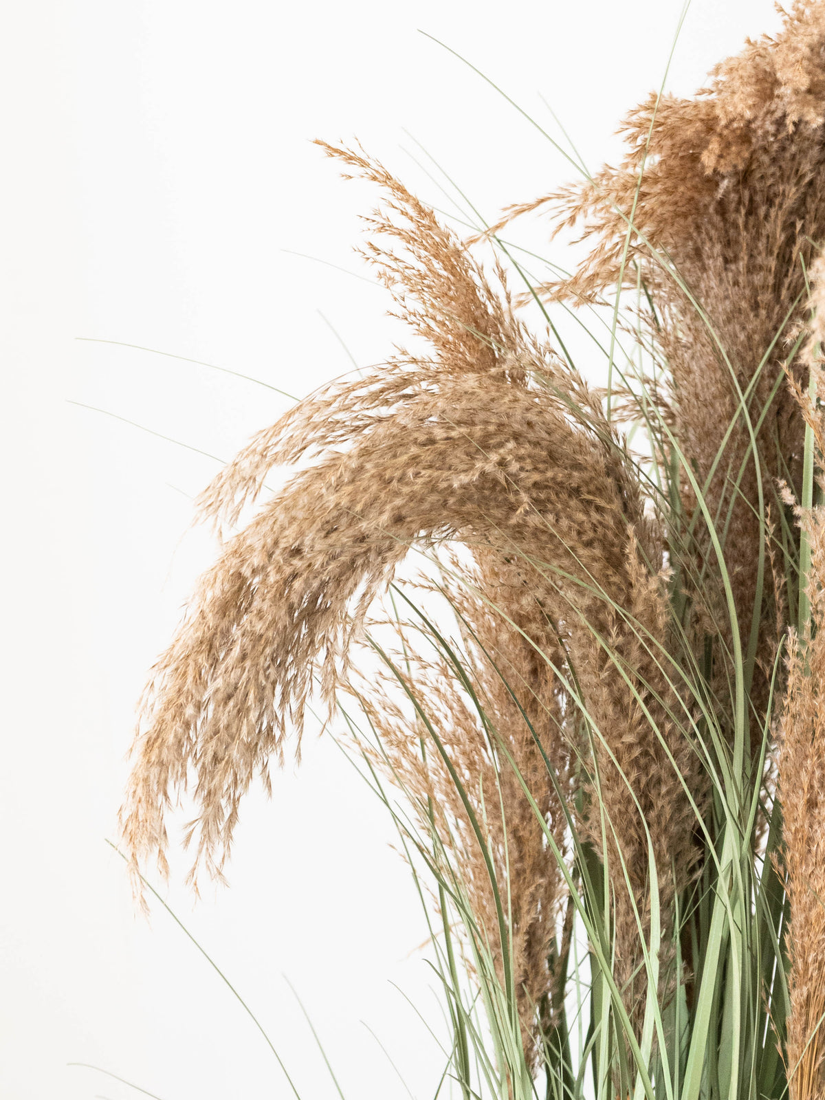 Artificial Reed Grass Plant 4ft