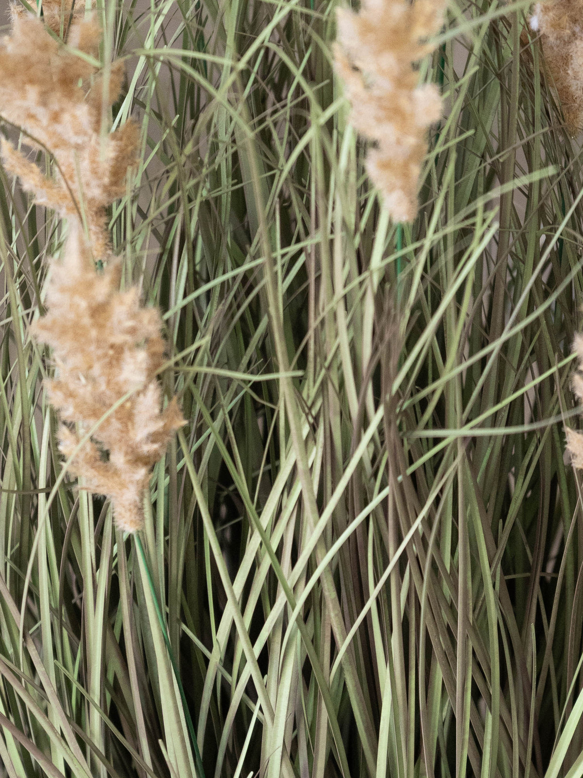 Artificial Pampas Whisper Grass Plant 2ft