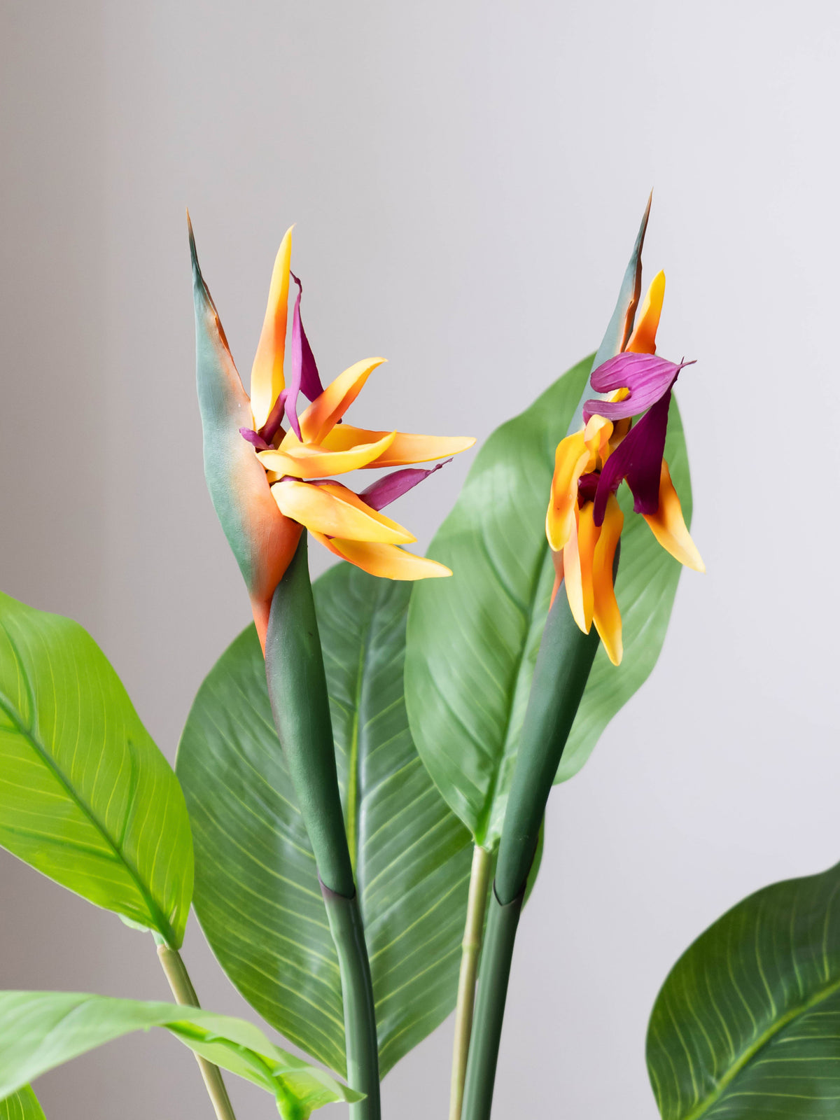 Artificial Paradise Bloom Plant 3.3ft