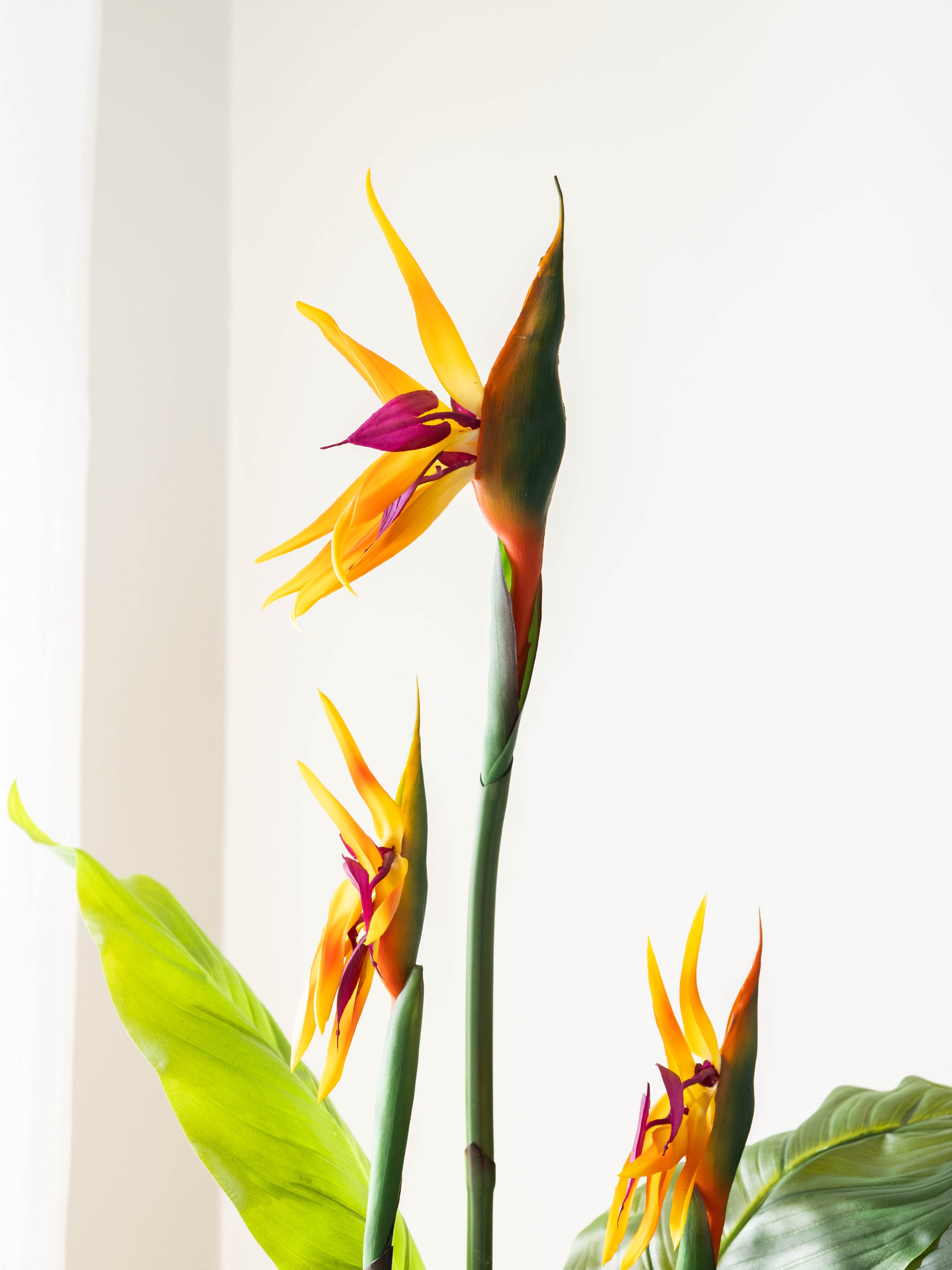 Artificial Bird of Paradise Flower Plant 4.7ft