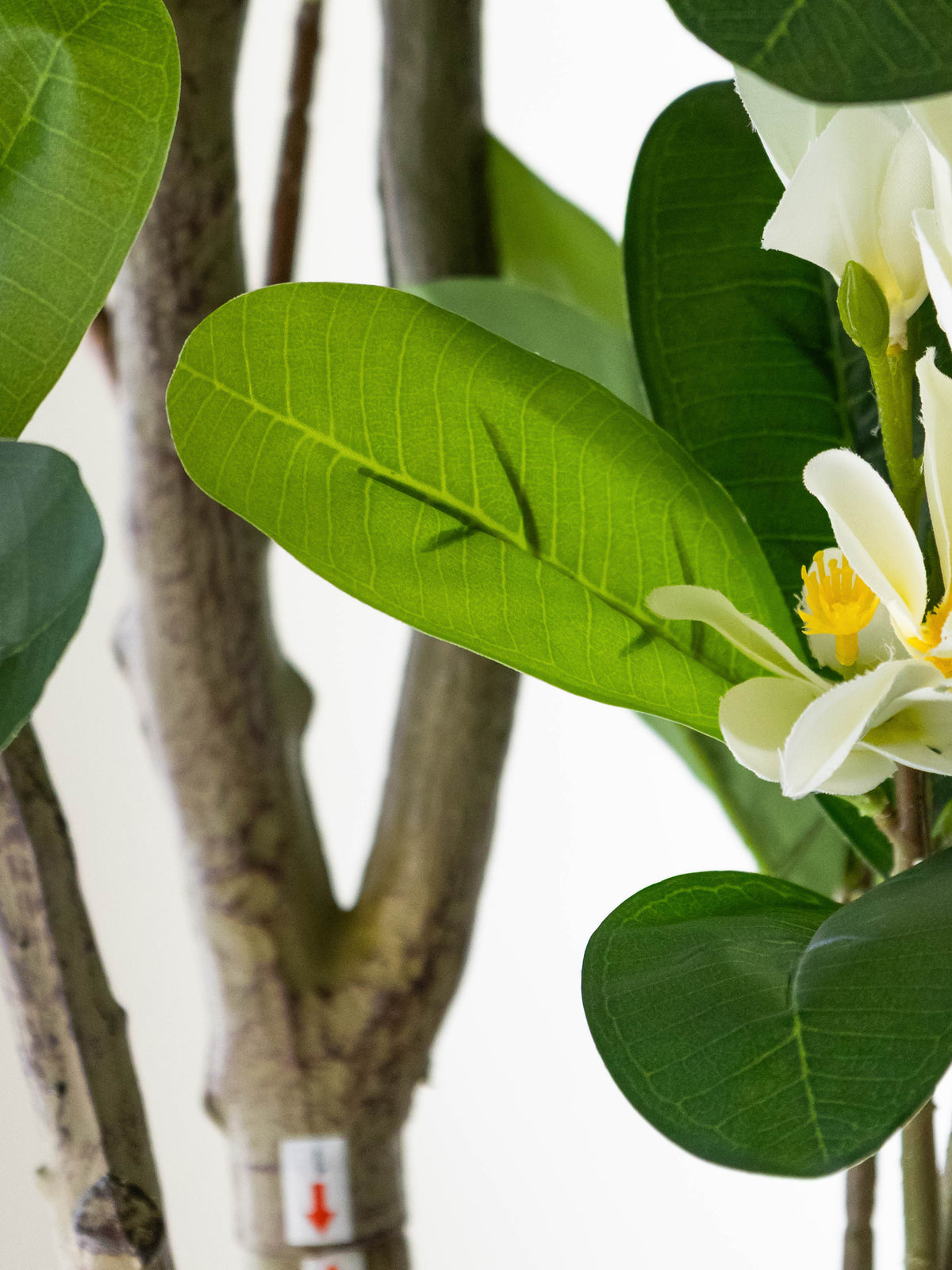 Artificial Frangipani Floral Tree 6ft