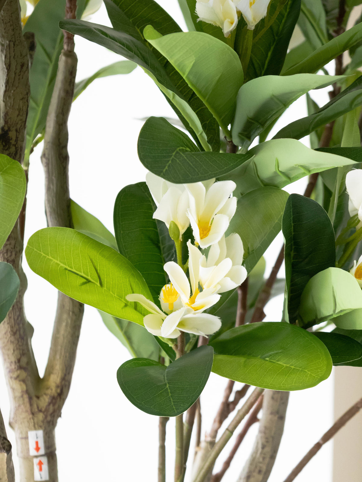 Artificial Frangipani Floral Tree 6ft