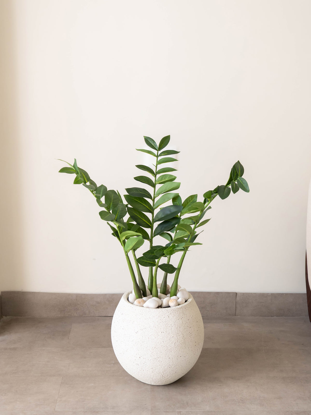 Artificial ZZ Greenery Plant 2.2ft