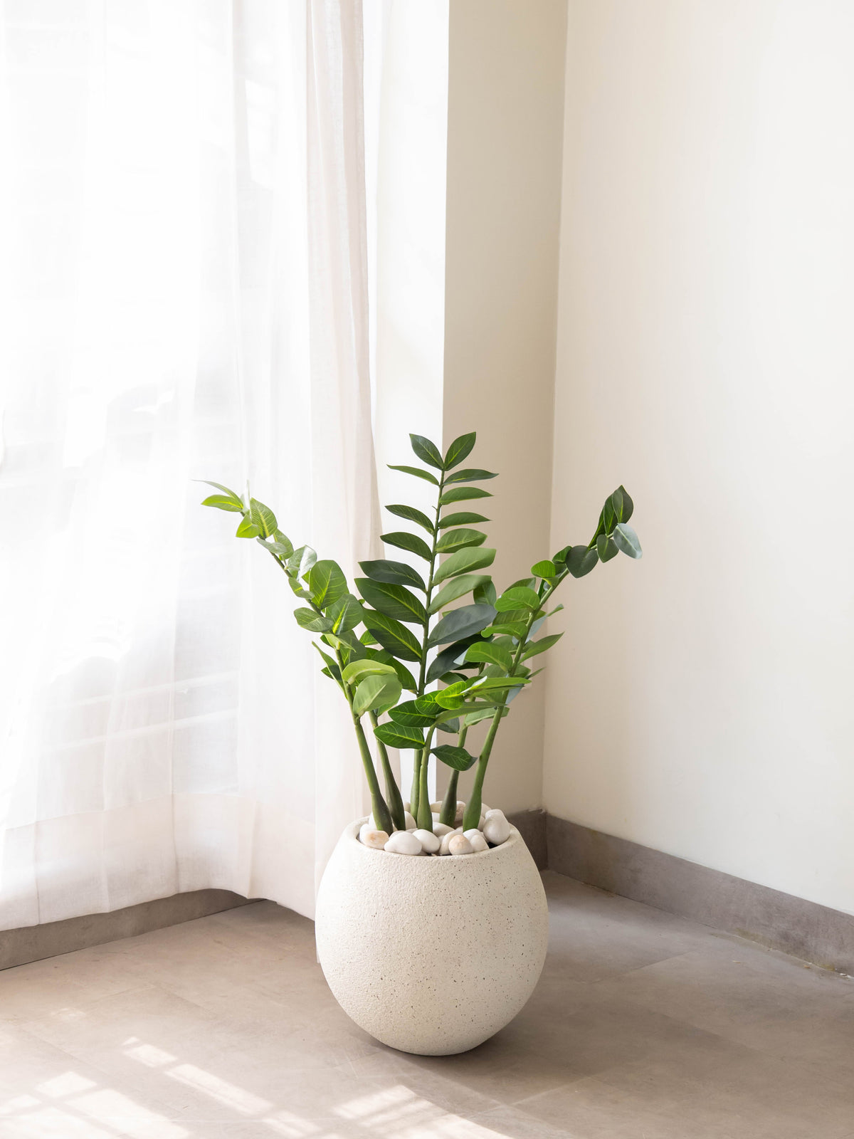 Artificial ZZ Greenery Plant 2.2ft