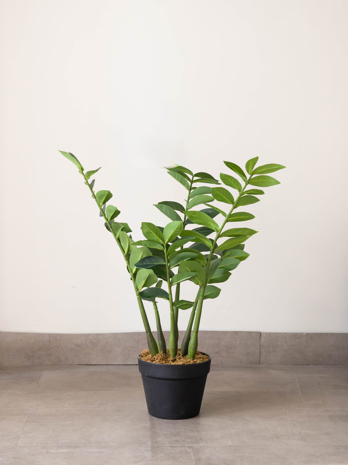 Artificial ZZ Greenery Plant 2.2ft