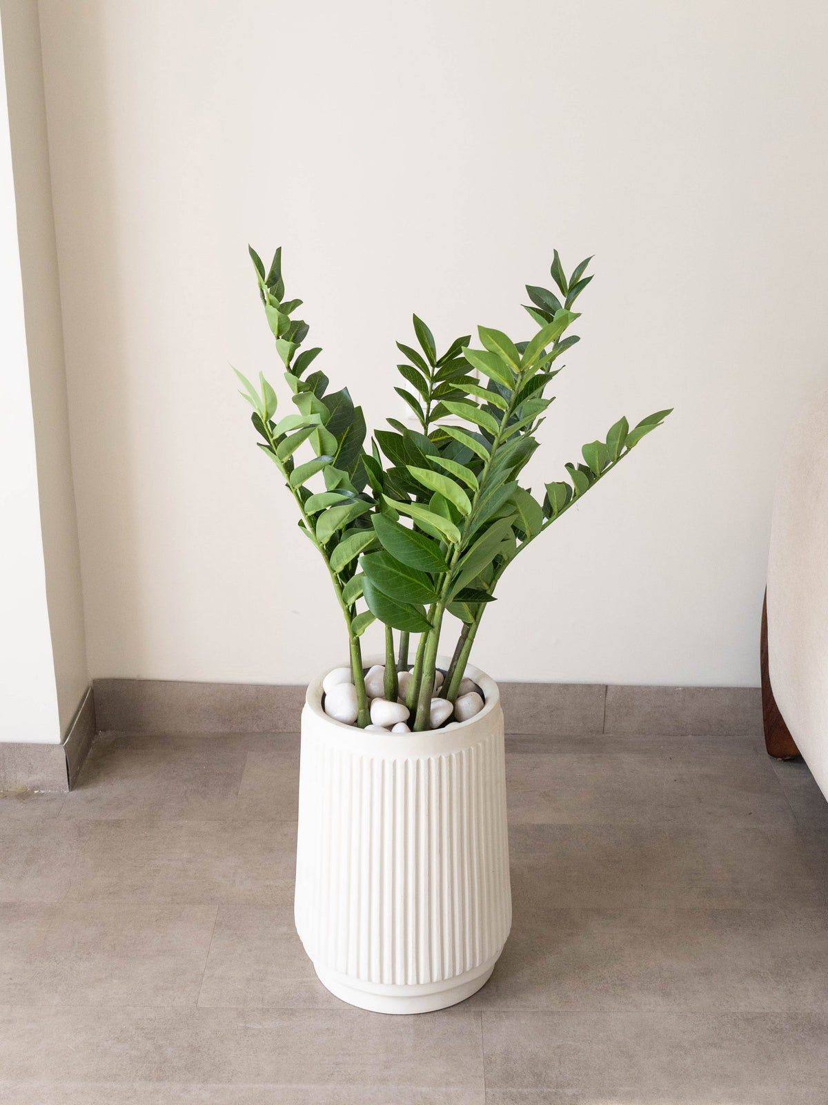 Artificial ZZ Verde Plant 2.5ft