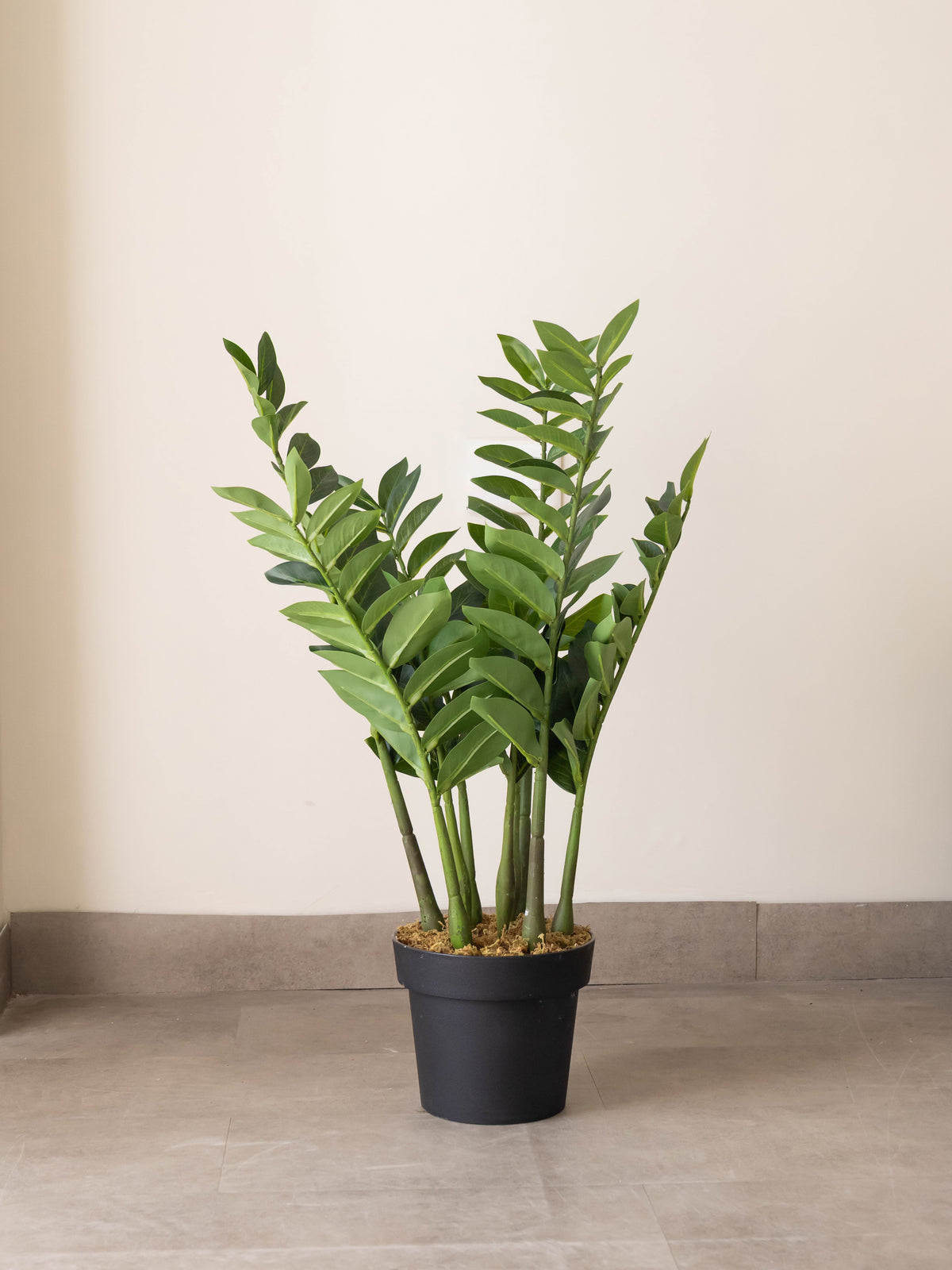 Artificial ZZ Verde Plant 2.5ft