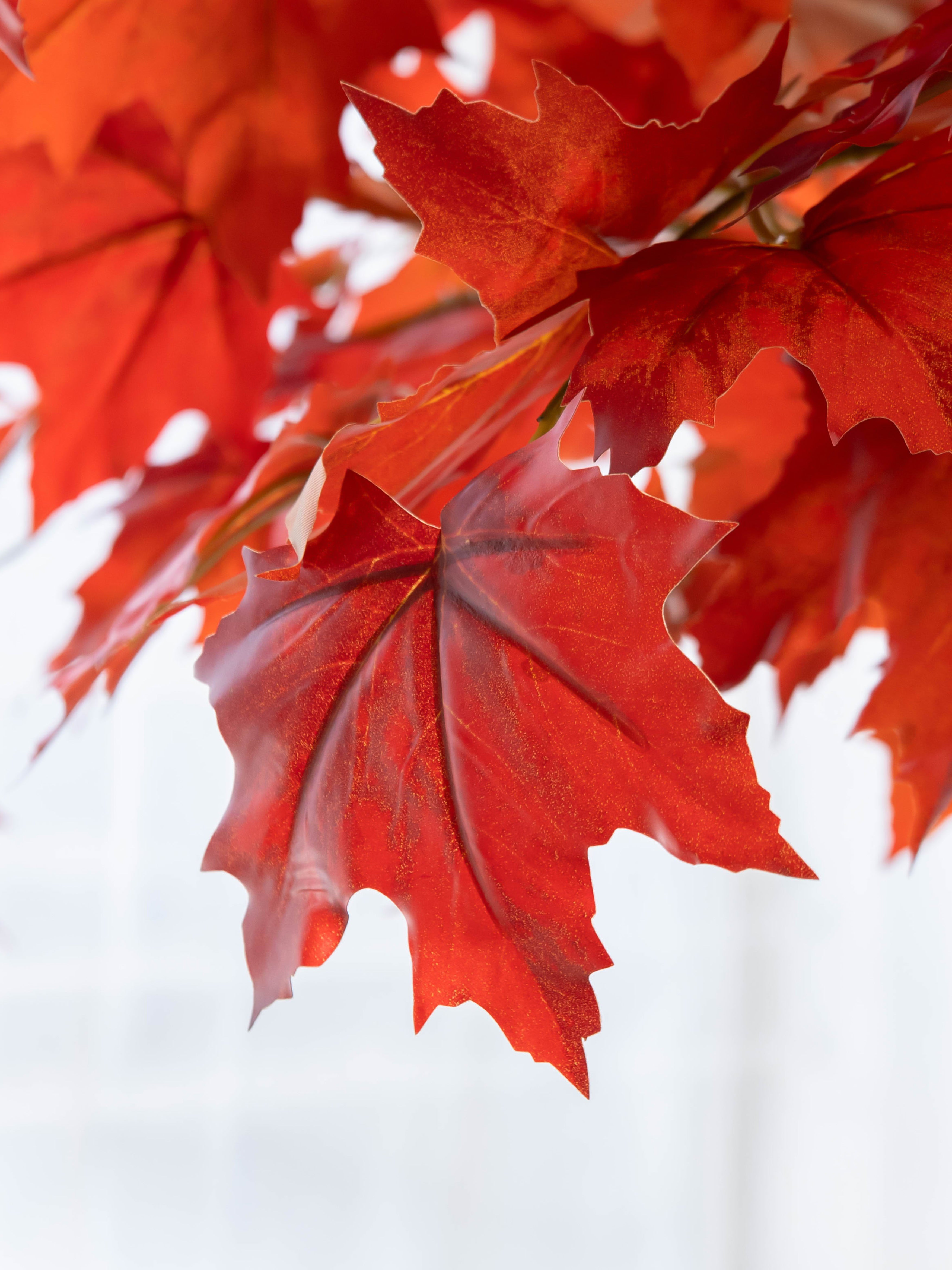 Artificial Autumn Maple Tree 6ft