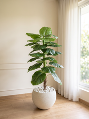 Artificial Evergreen Leaf Plant 4ft