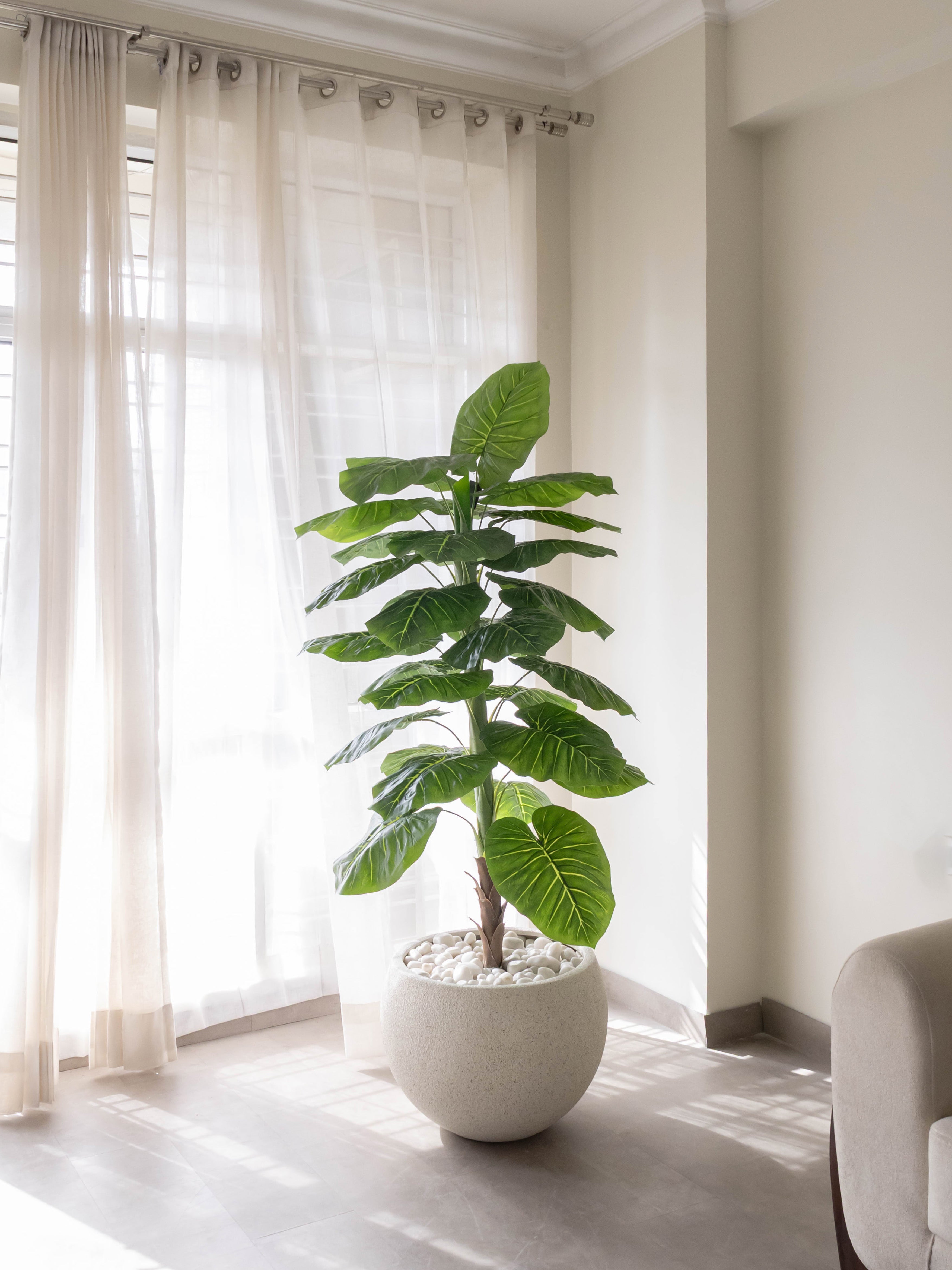 Artificial Evergreen Leaf Plant 4ft