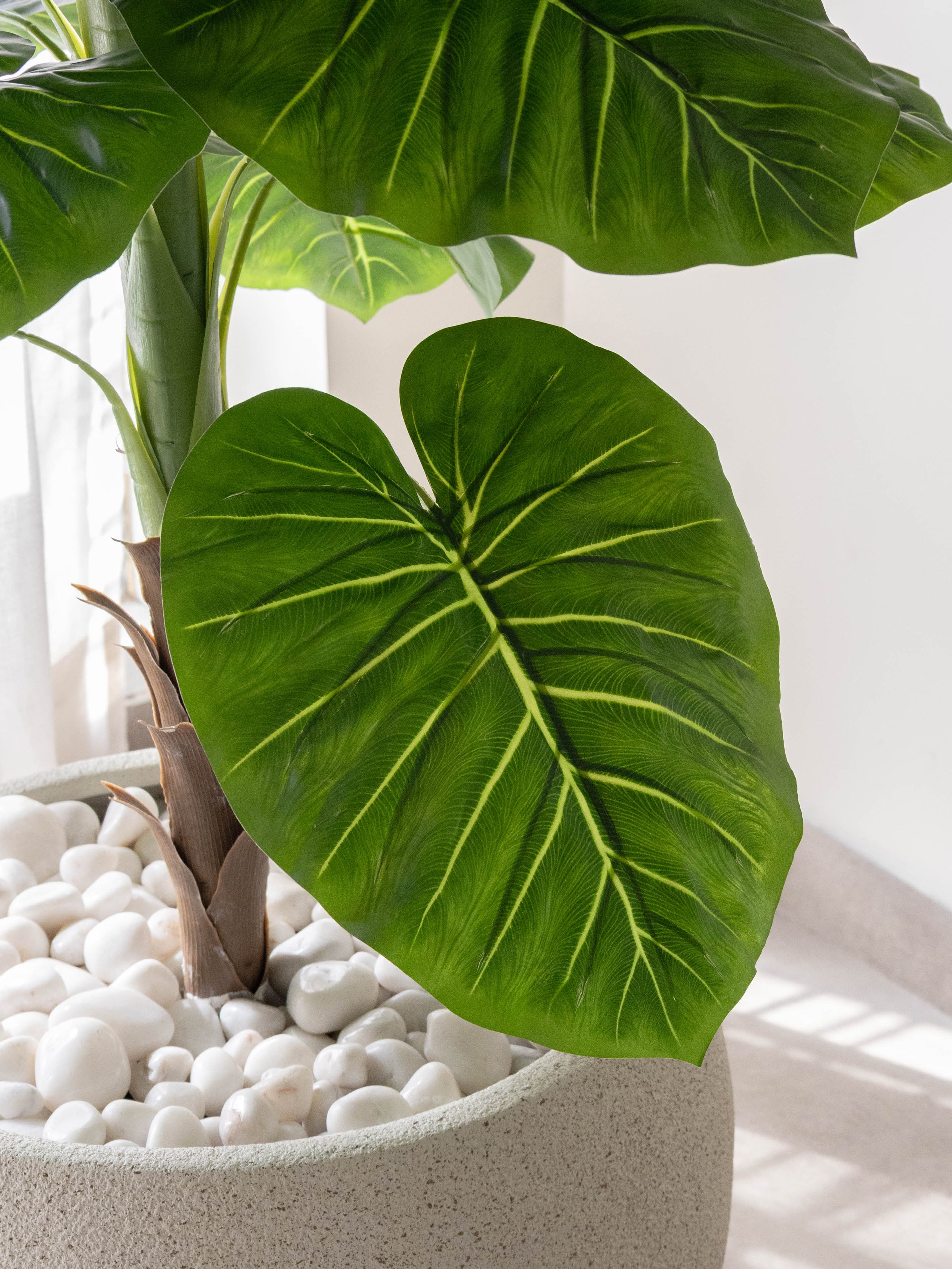 Artificial Evergreen Leaf Plant 4ft