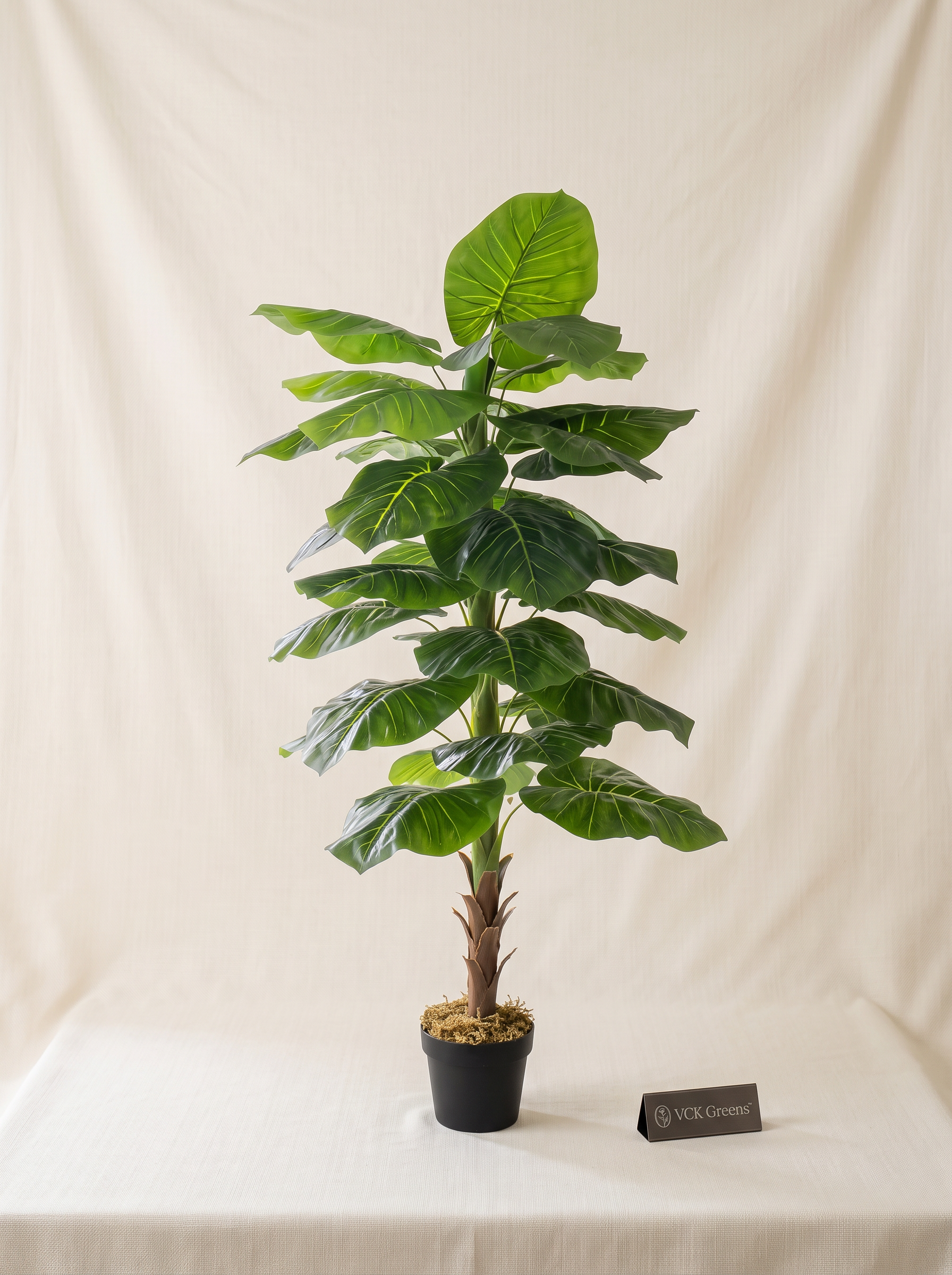 Artificial Evergreen Leaf Plant 4ft