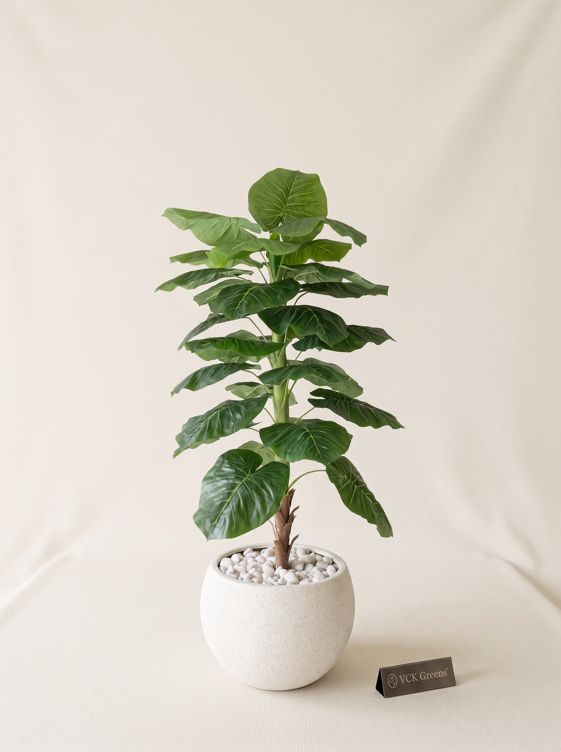 Artificial Evergreen Leaf Plant 4ft