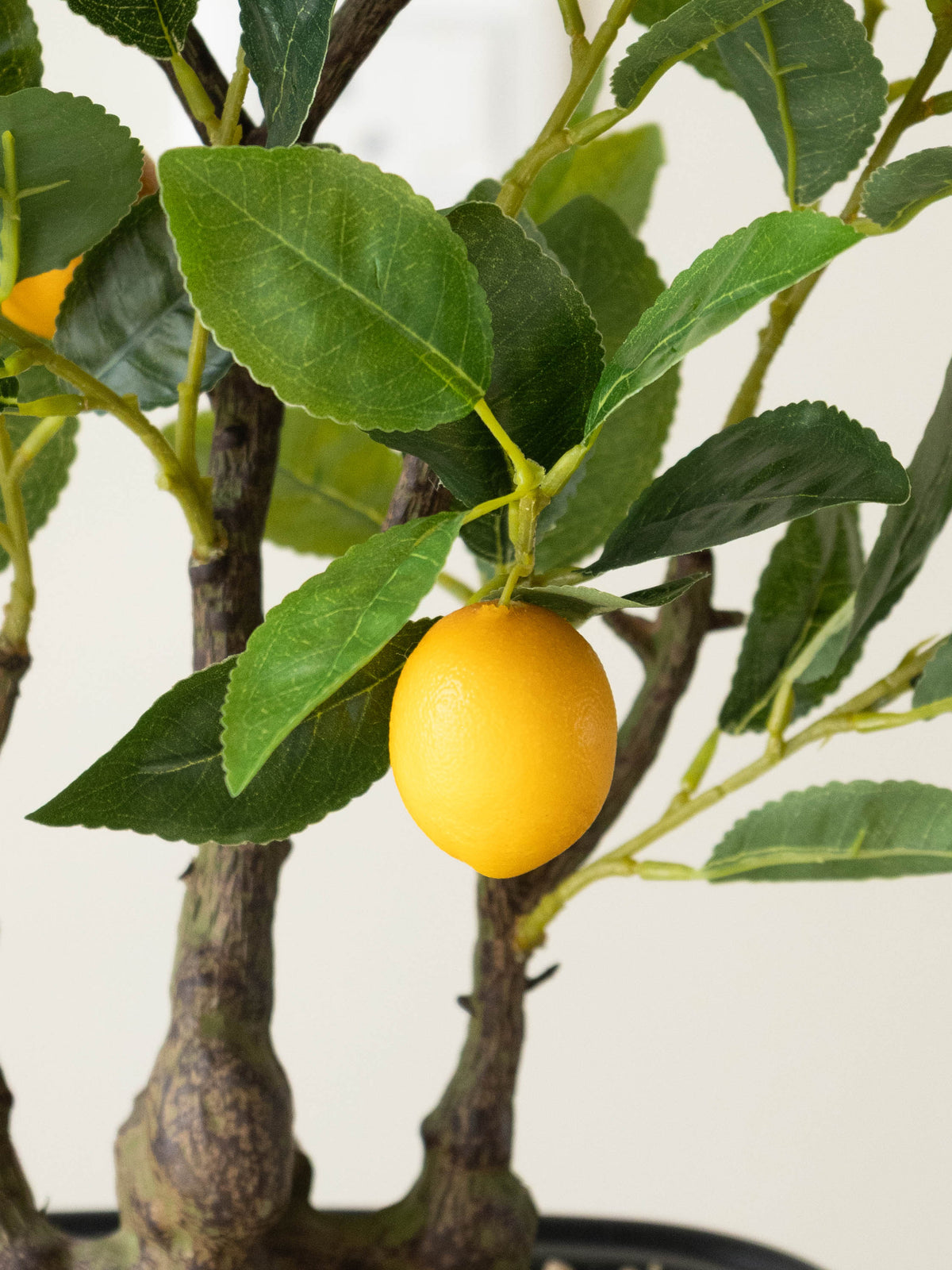Artificial Lemon Grove Bonsai 2ft