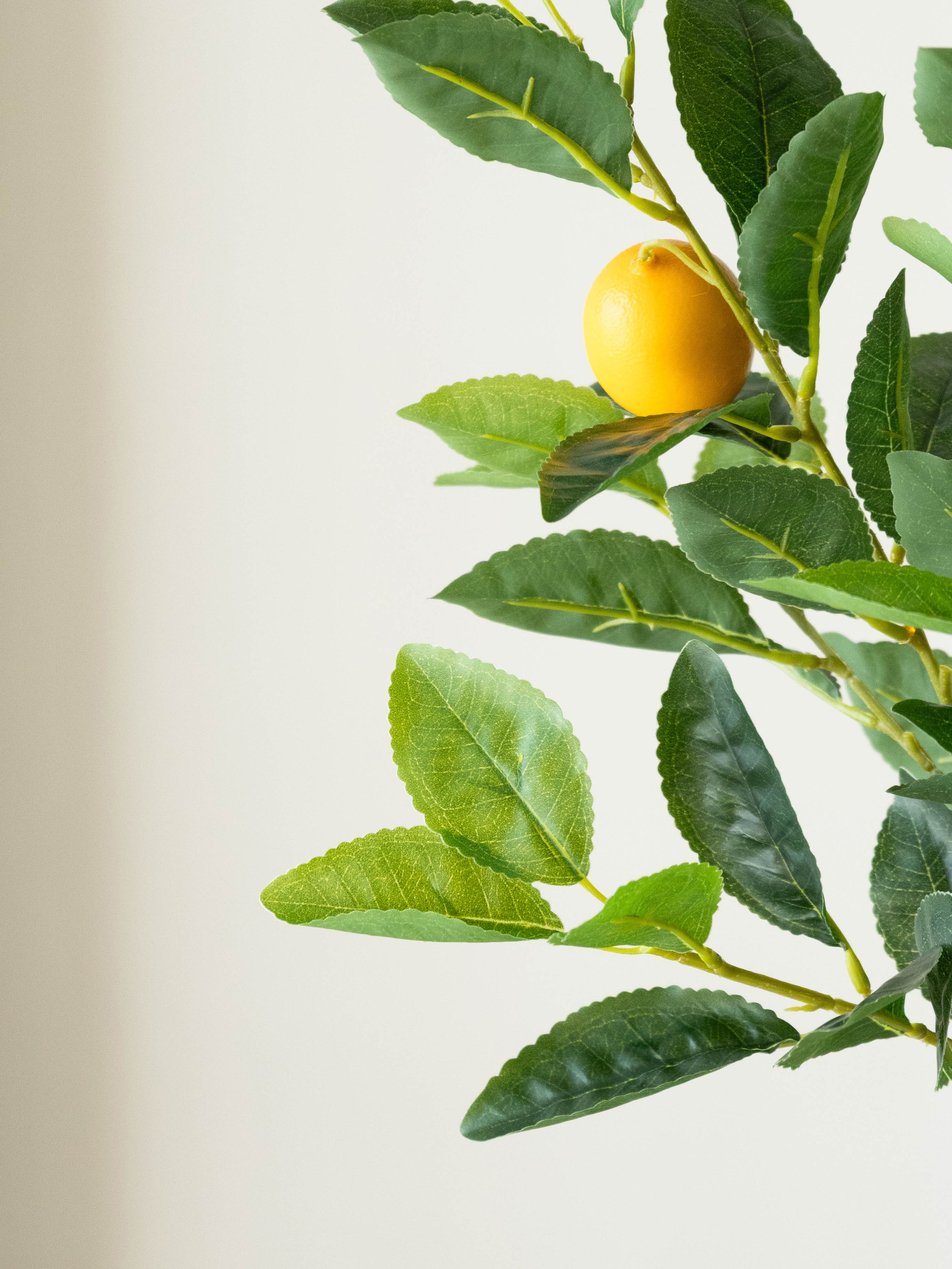 Artificial Lemon Grove Bonsai 2ft