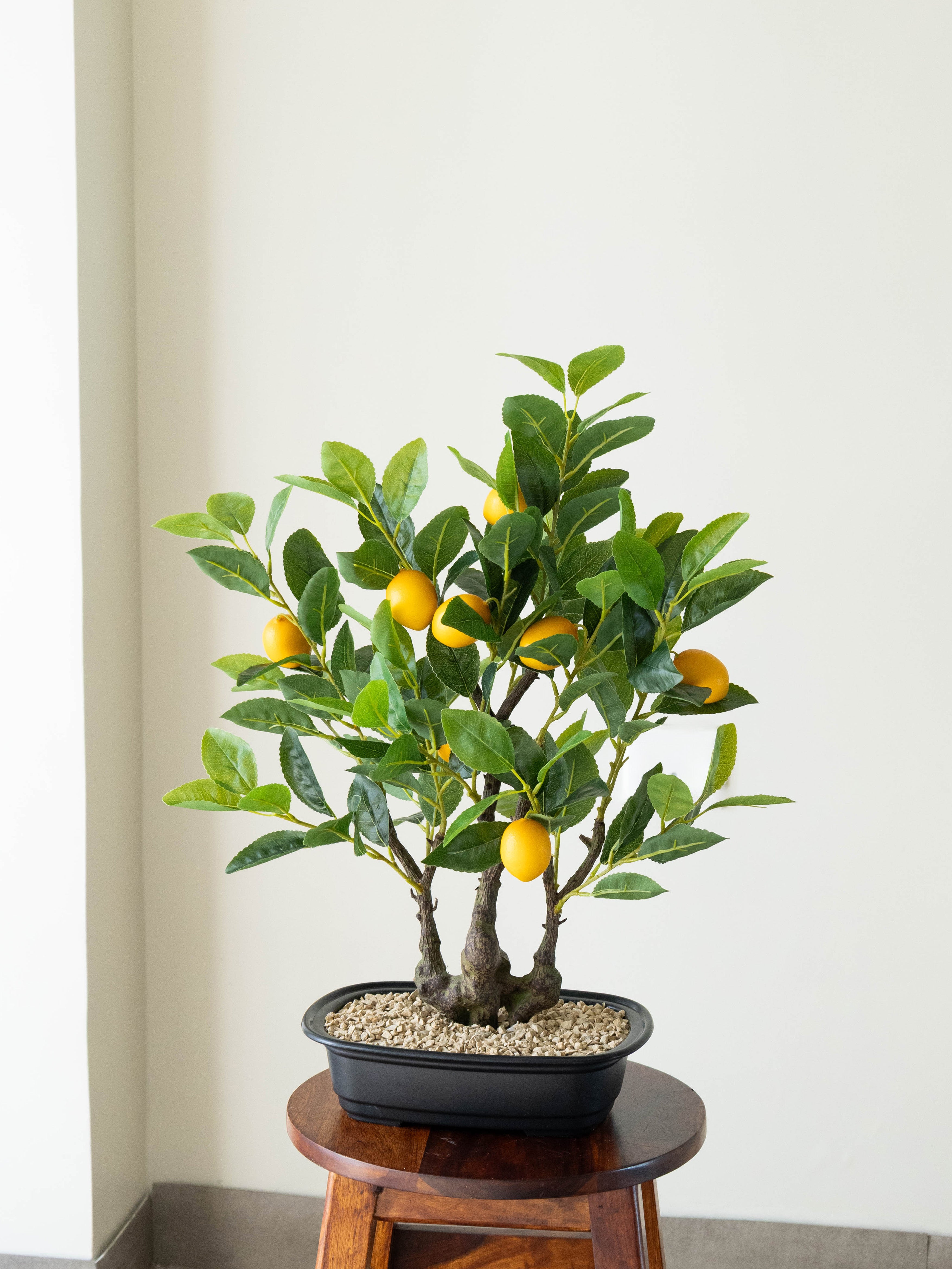 Artificial Lemon Grove Bonsai 2ft