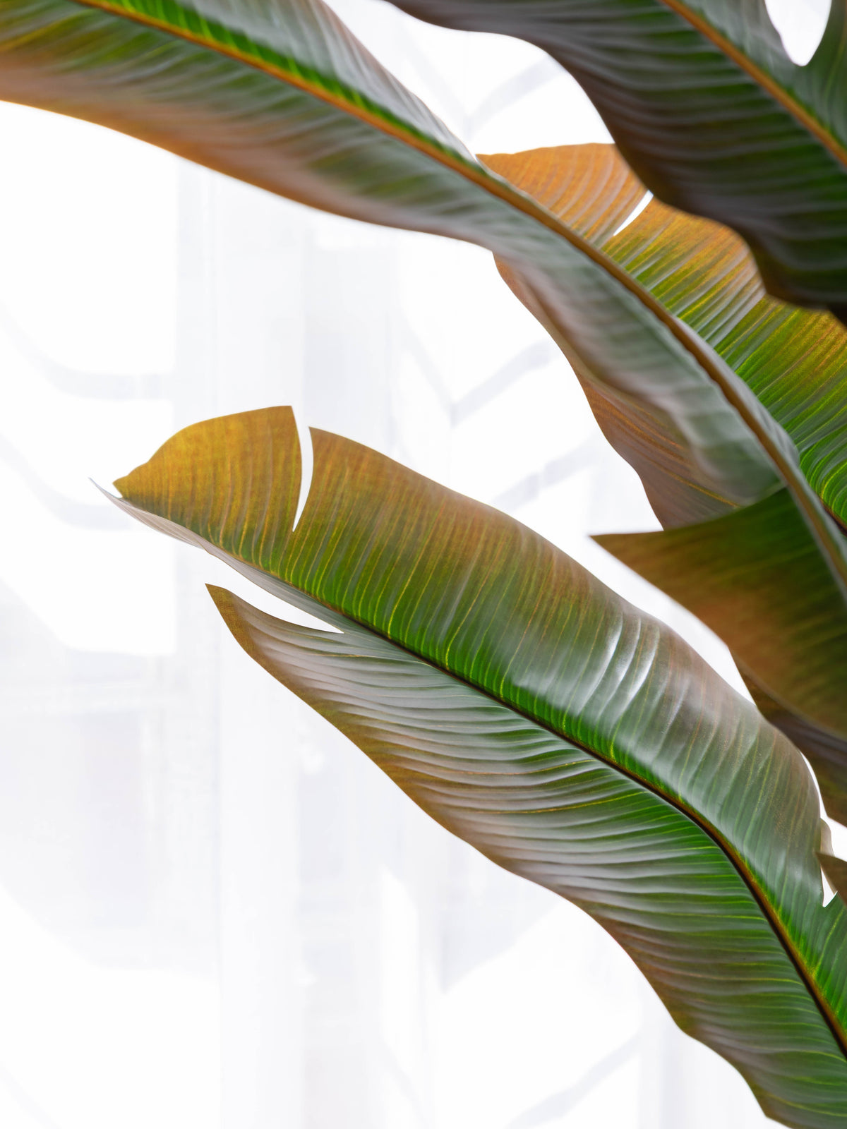 Artificial Tropical Banana Plant 6ft